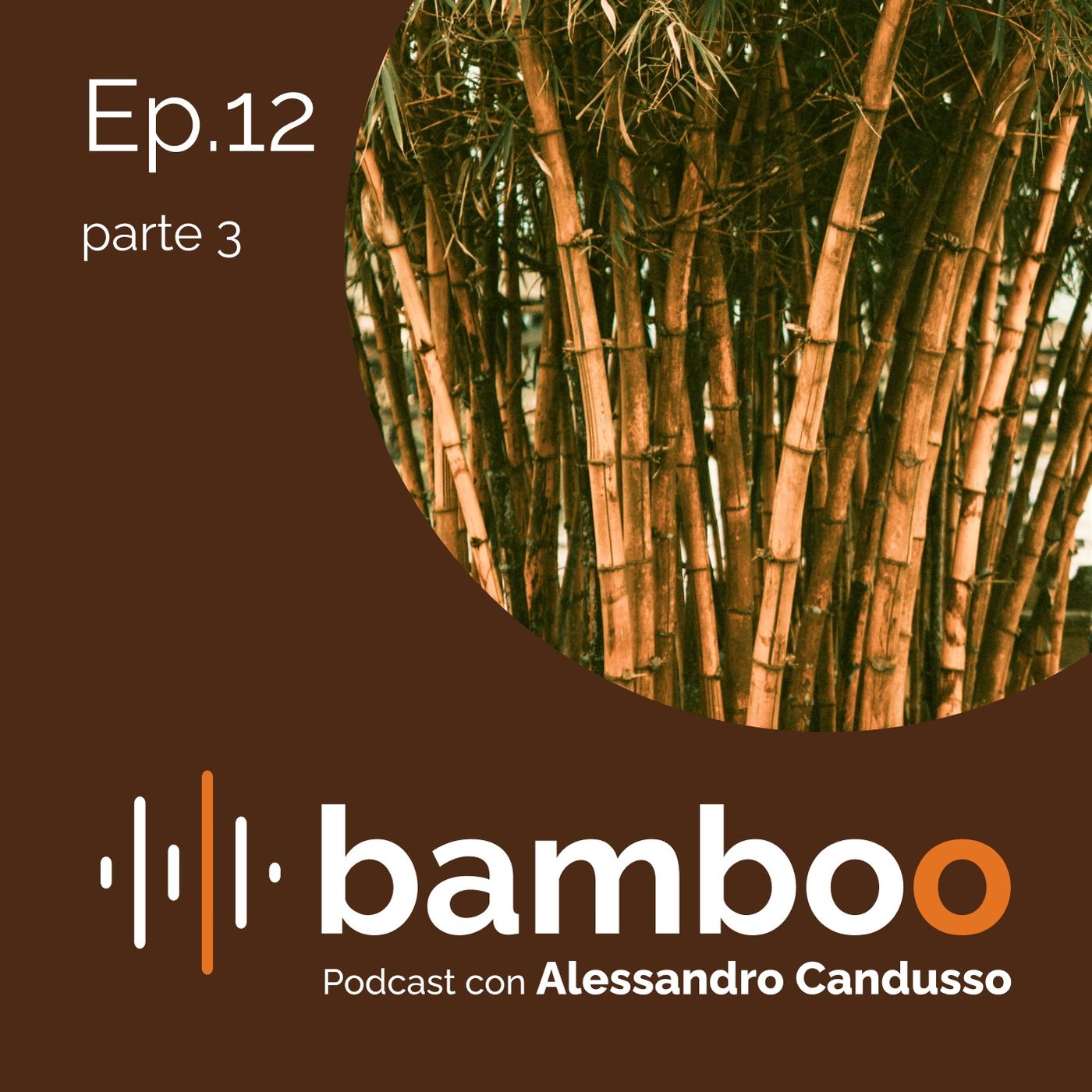 Bamboo Podcast con Alessandro Candusso