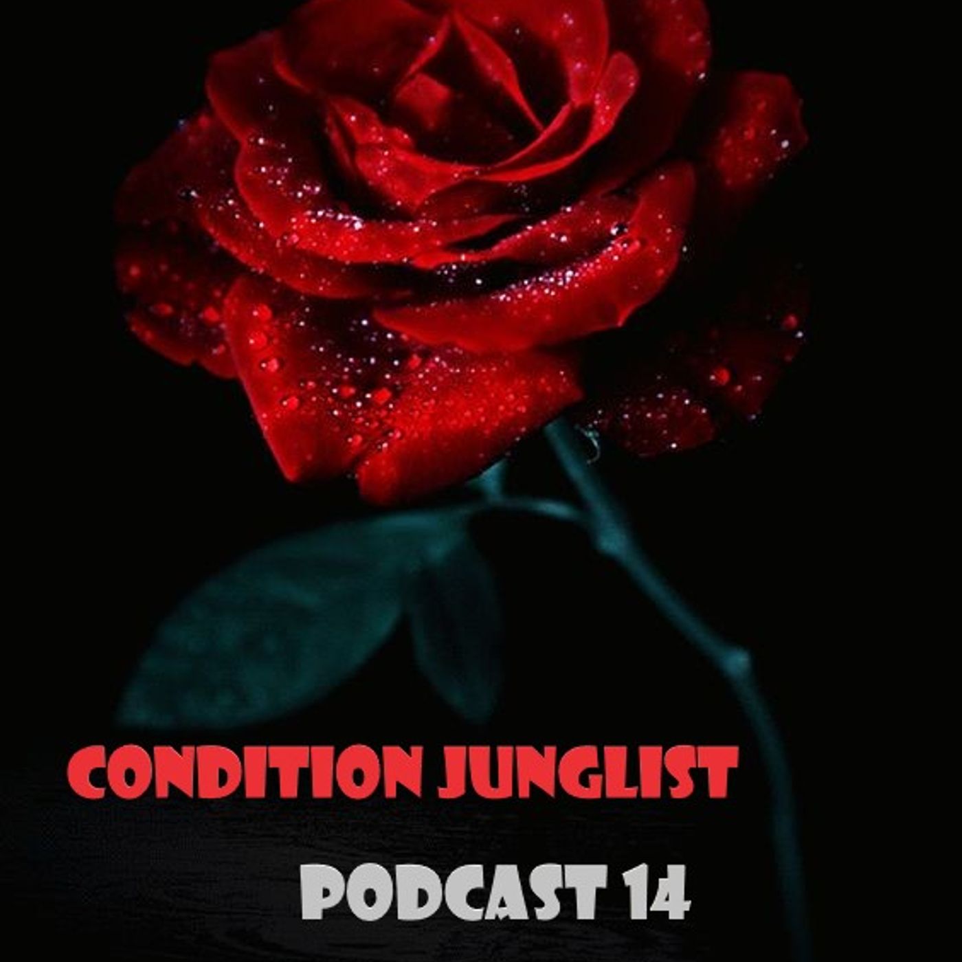 Condition junglist
