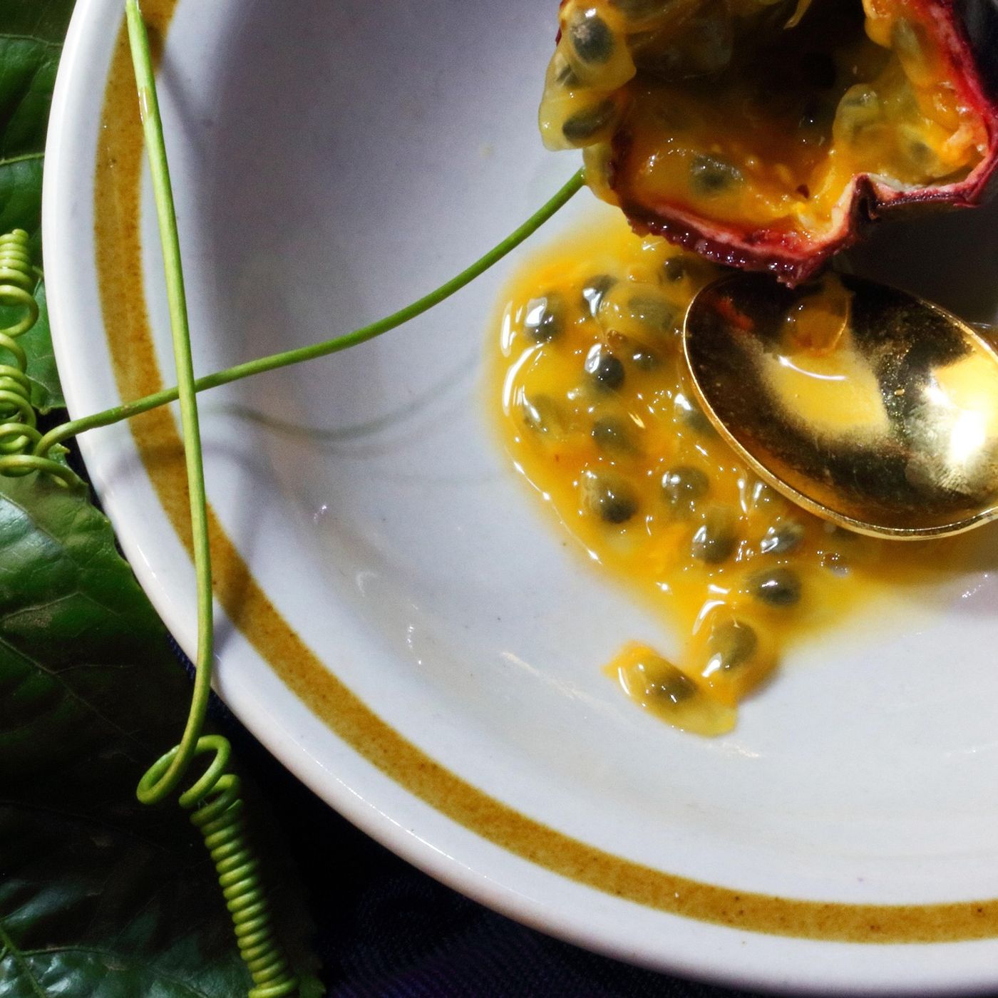 L\'alimentazione by Elisabetta