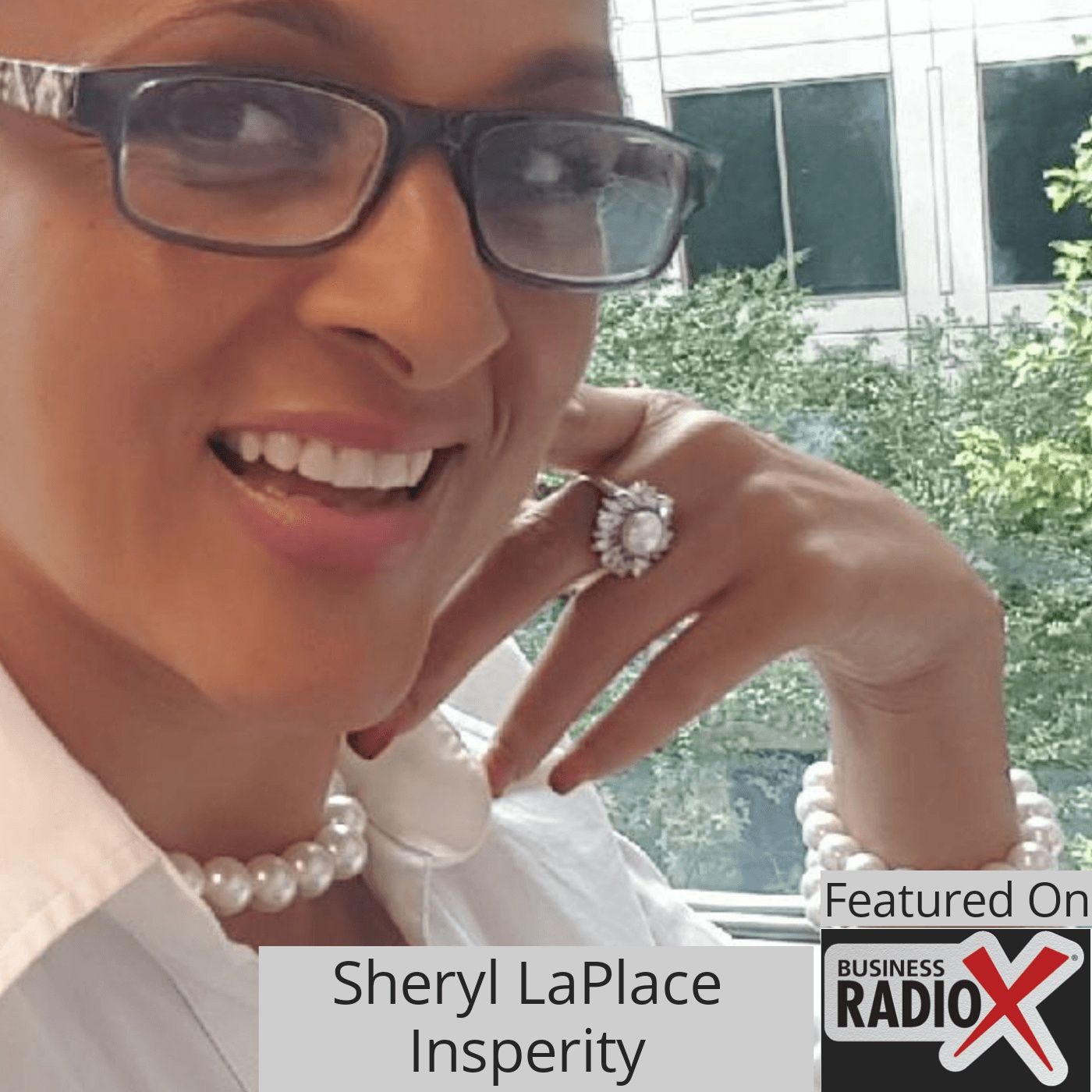 Sheryl LaPlace, Insperity episode artwork
