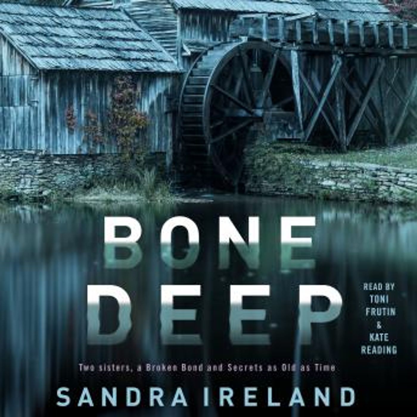 Grab the Top Full Audiobooks in Mystery, Thriller & Horror, Suspense