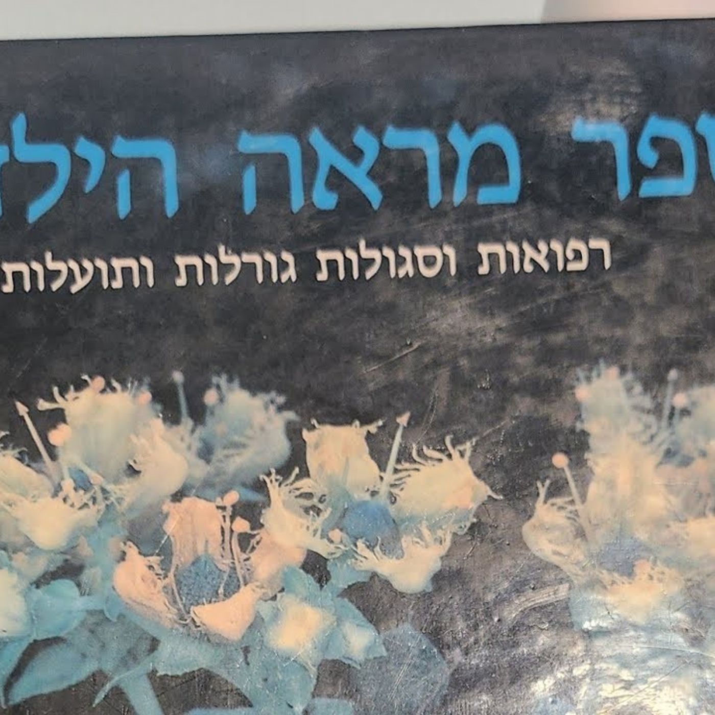 הקדמת ספר מראה הילדים ומעלת טבריה וקצת עניינים