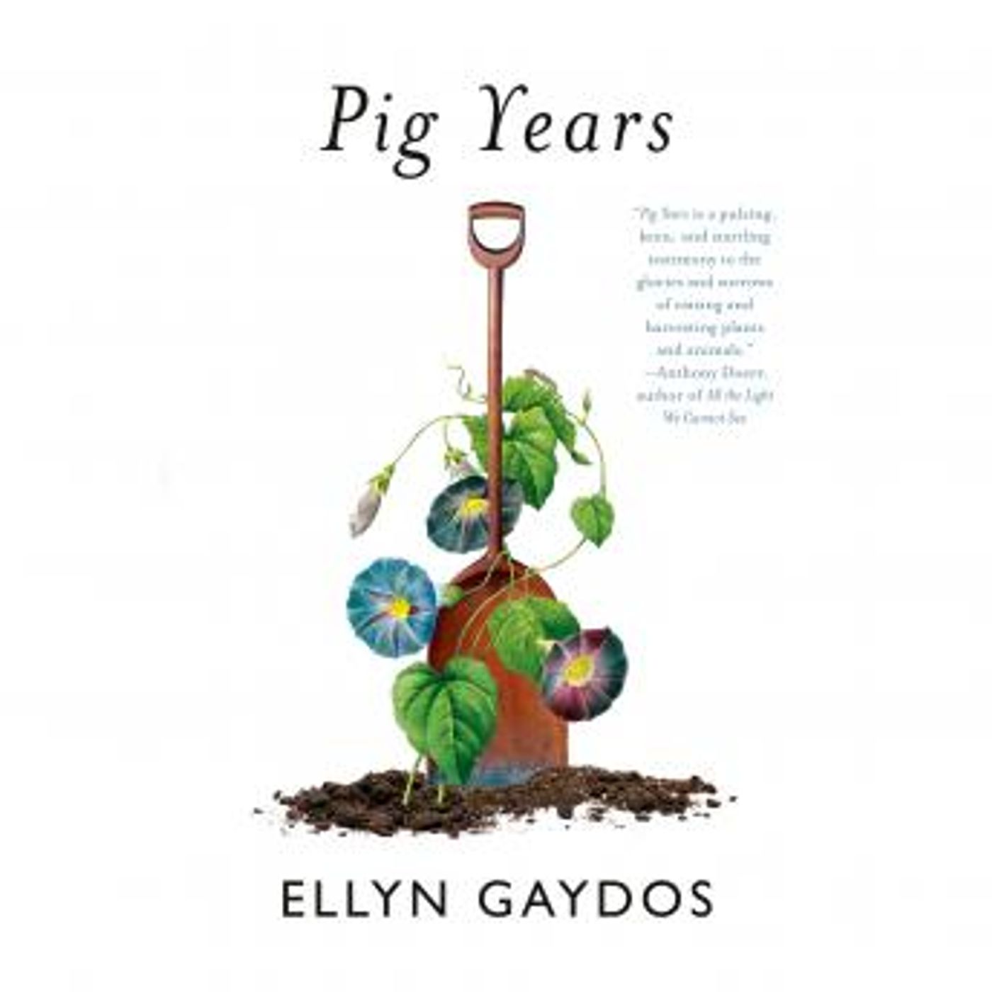 Pig Years by Ellyn Gaydos episode artwork