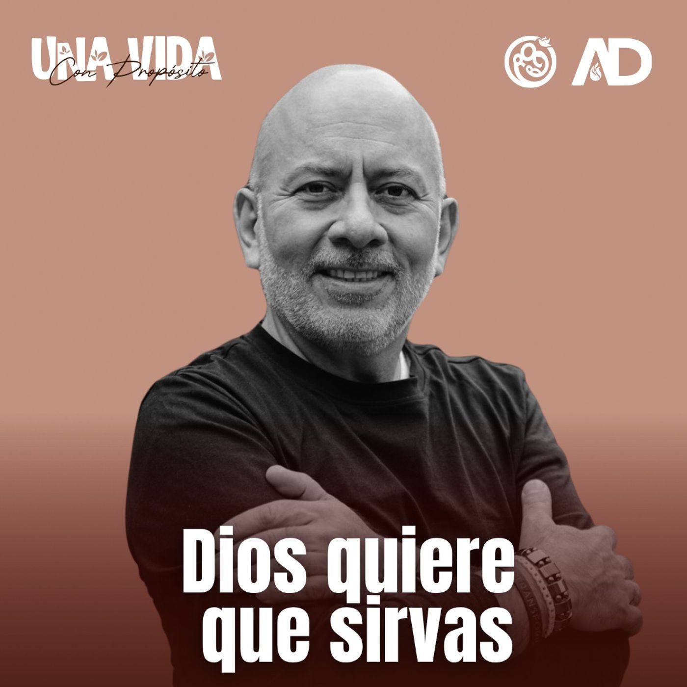 Portada de Entre La Vida y la Biblia