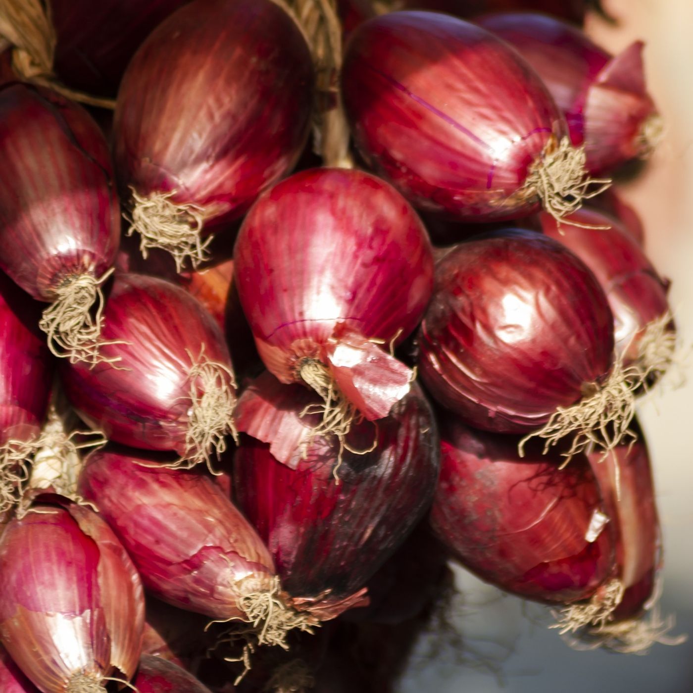 L\'alimentazione by Elisabetta
