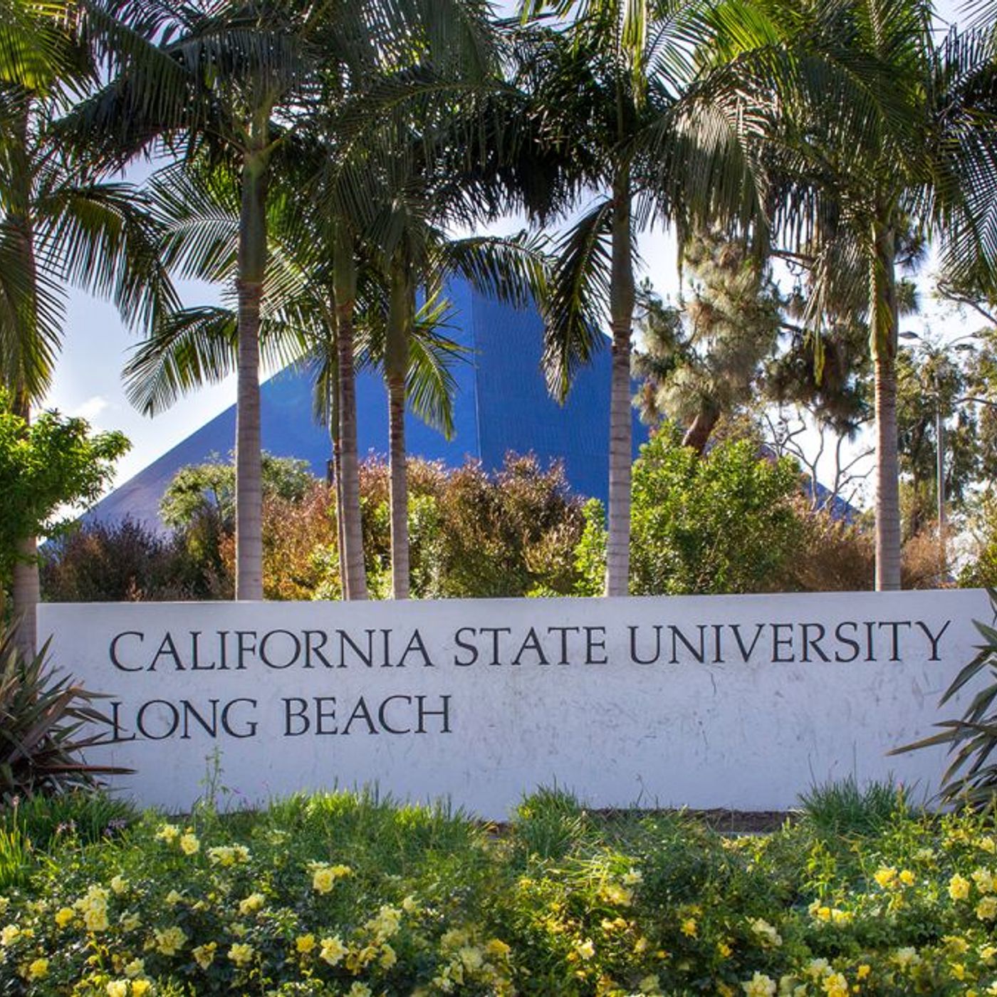 California State University, Long Beach - Let's Check It Out Together E47