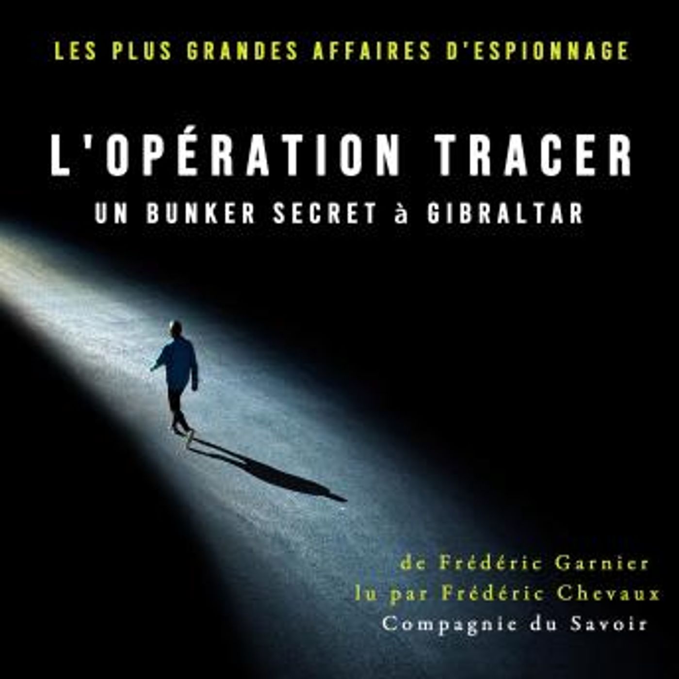 Enjoy Amazing Full Audiobooks in History, Europe