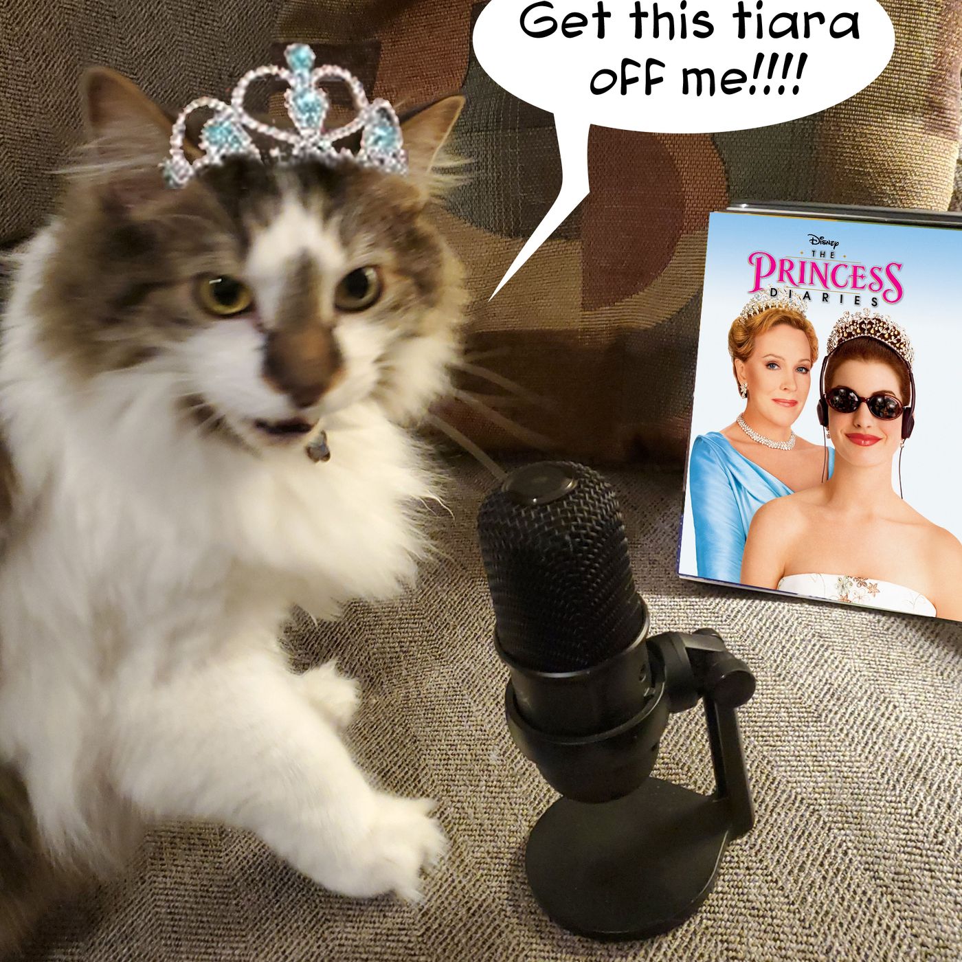 Episode 066 - The Princess Diaries episode artwork