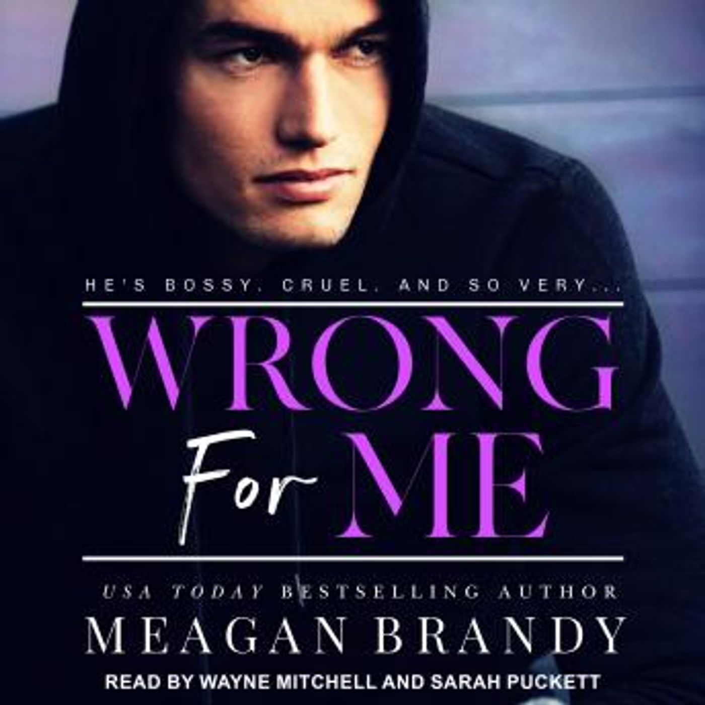 Listen to Latest Full Audiobooks in Romance, Modern