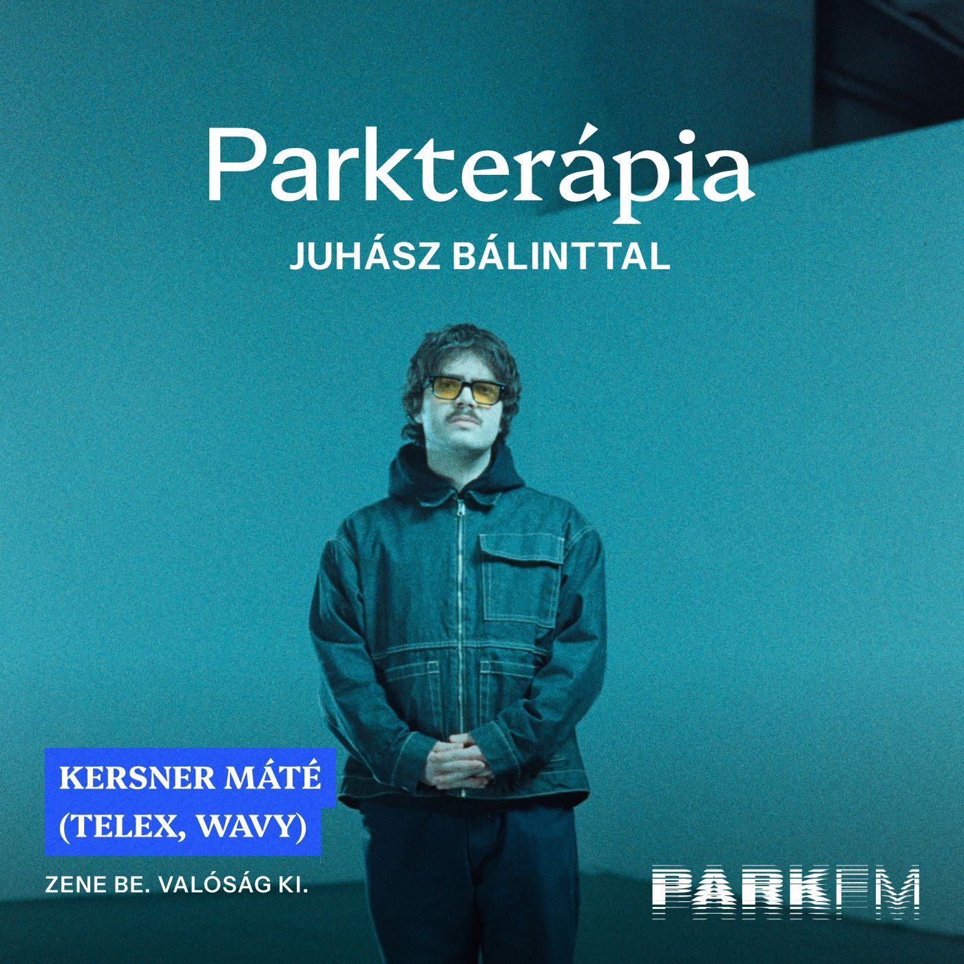 Kersner Máté - Hiszek a gonzó újságírás erejében | Park FM - Parkterápia episode artwork