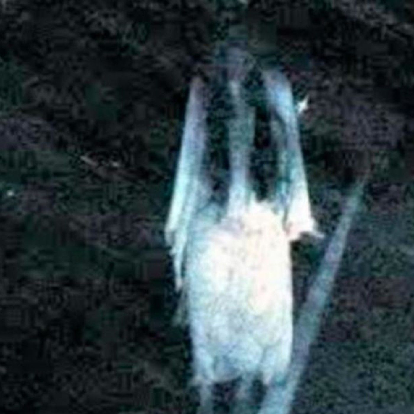 Historias de Miedo Mayo 17 2021 UNA LLAMADA MISTERIOSA Y LA LLORONA DE CD MANTE