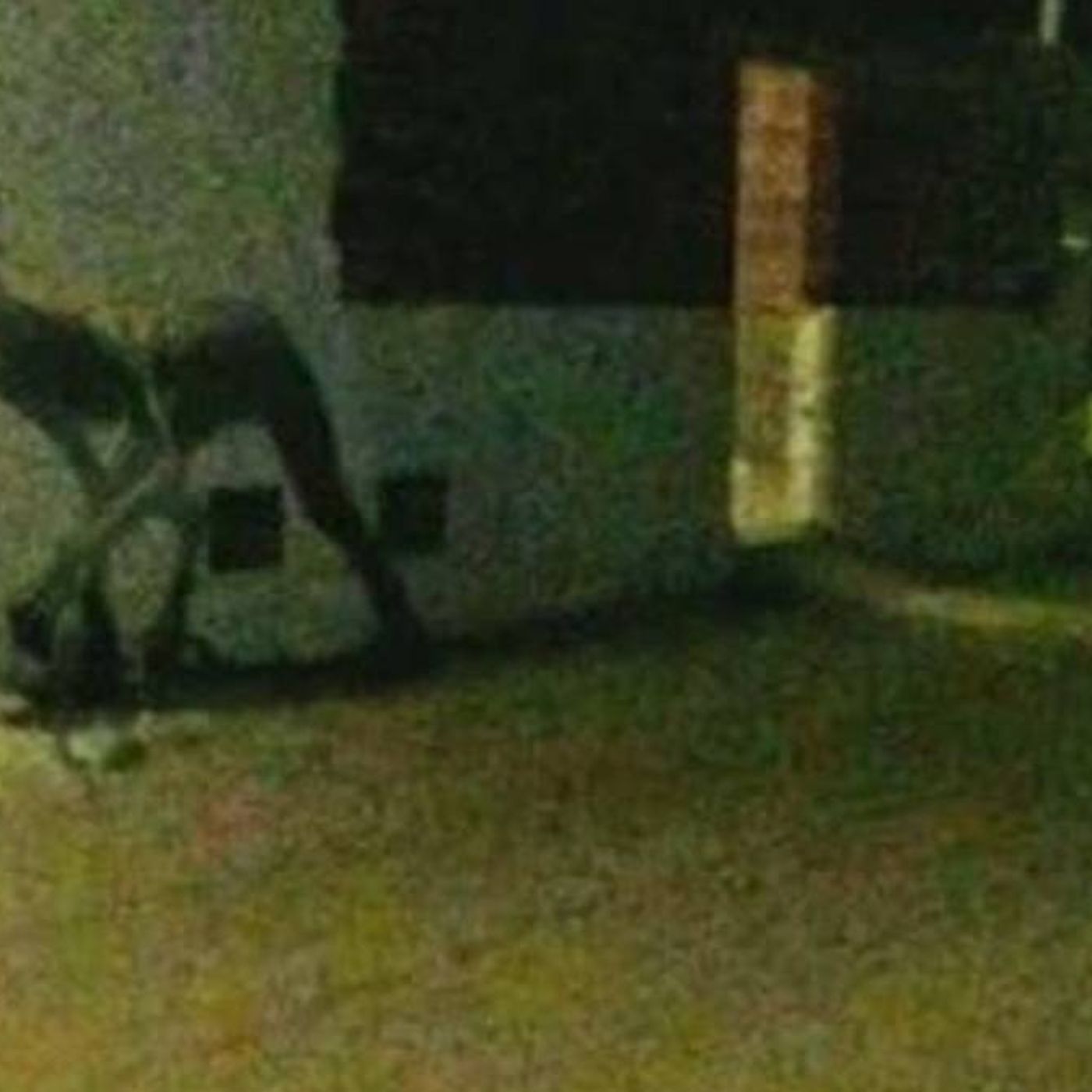 Historias de Miedo Noviembre 5 de 2021 EL CHUPACABRAS