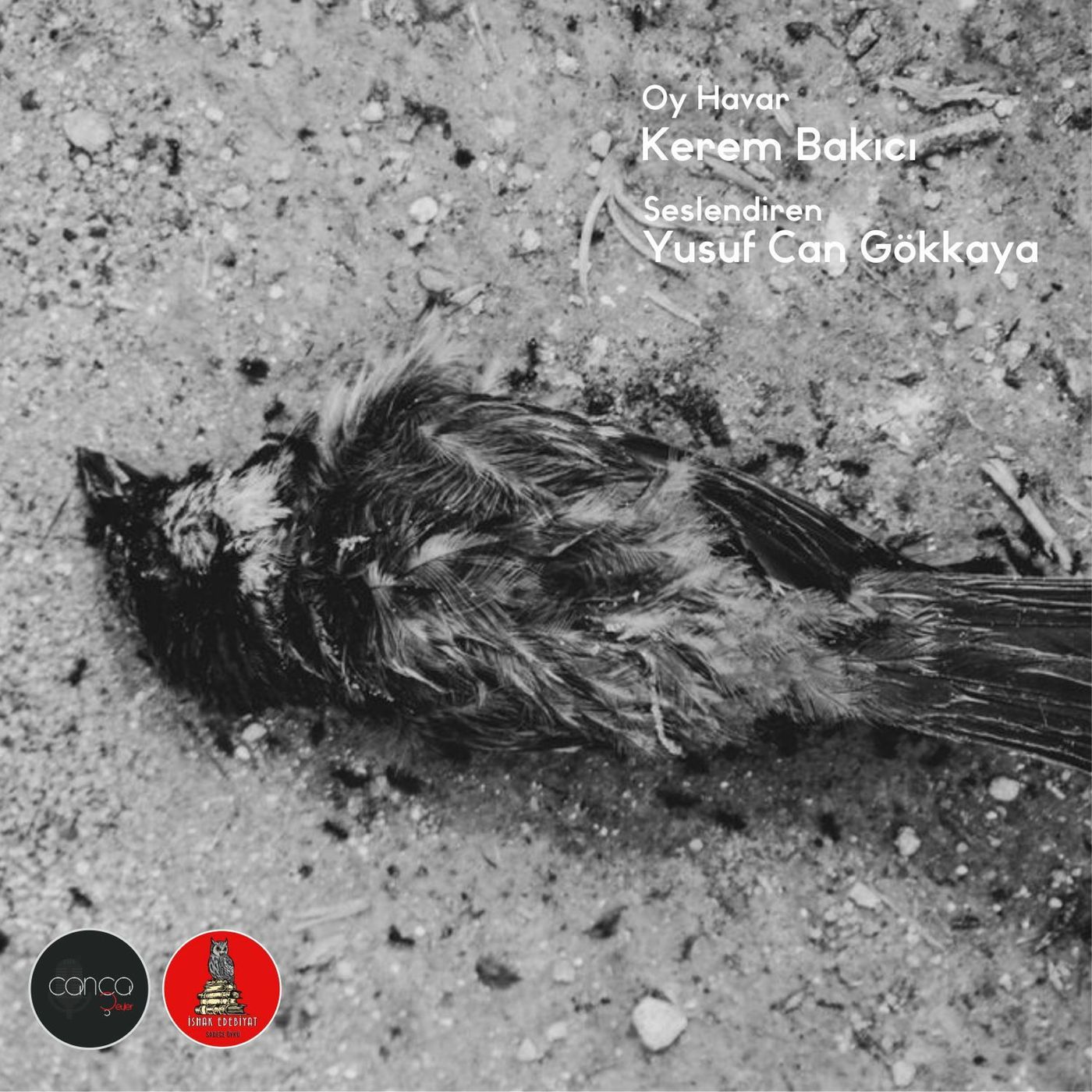 Öykü | Kerem Bakıcı - Oy Havar episode artwork