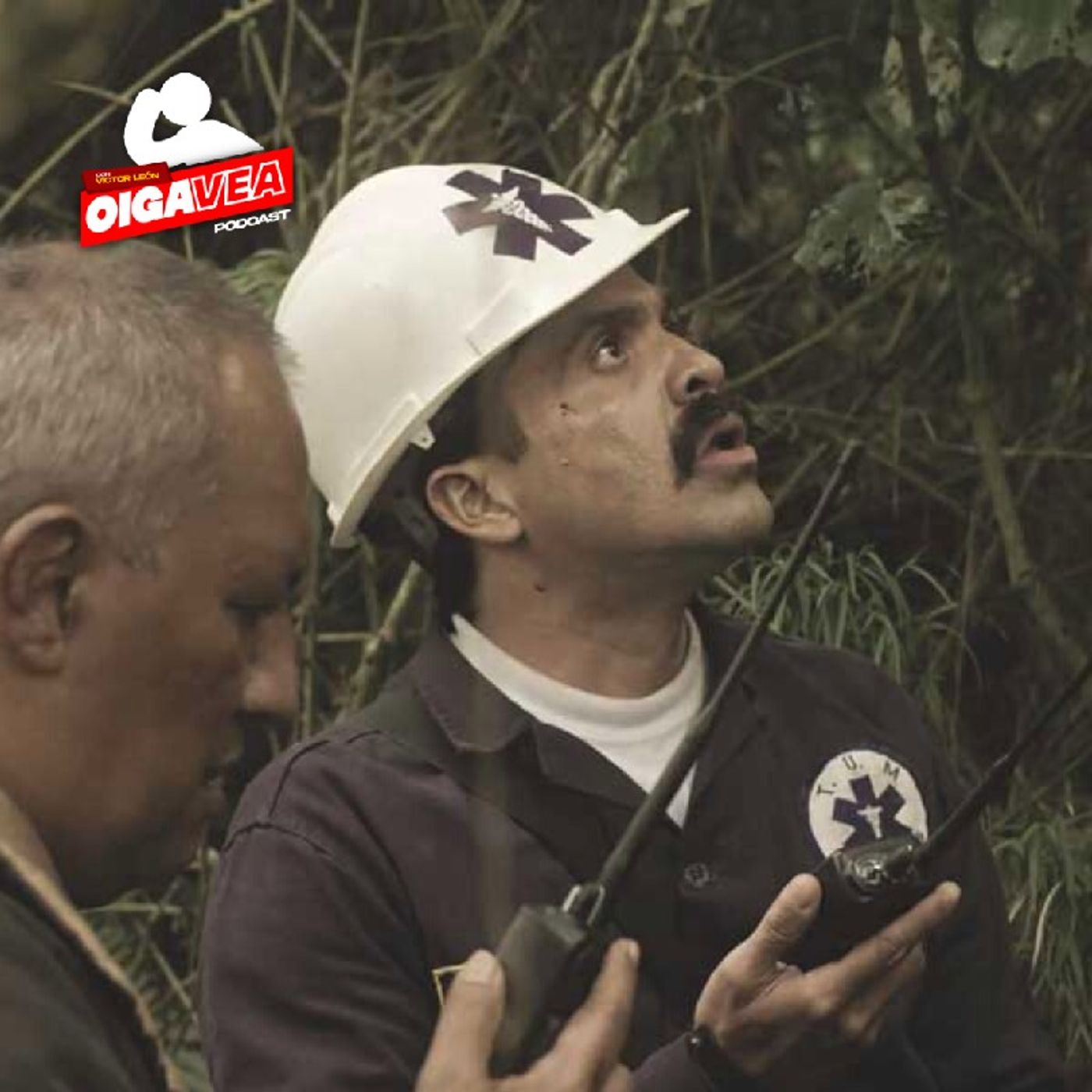 Oiga, Vea!