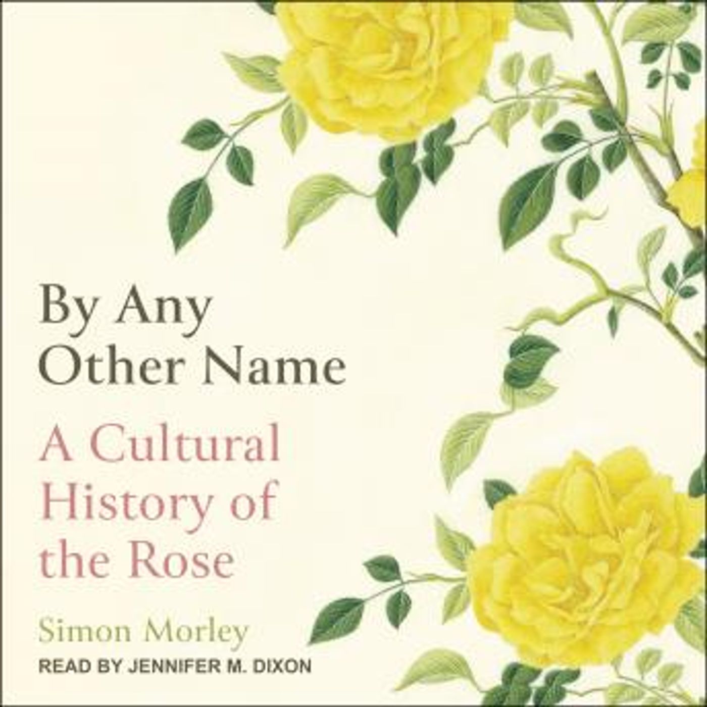 Access Must-Have Full Audiobooks in Non-Fiction, Social Science