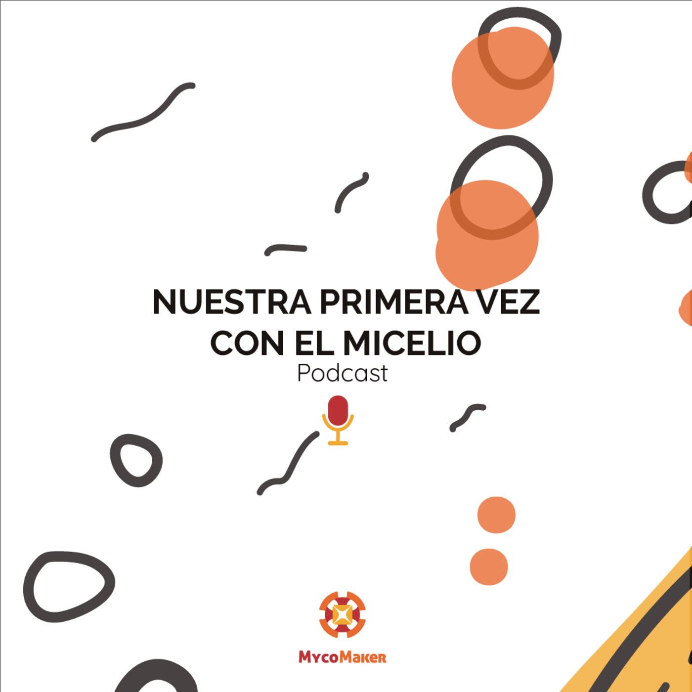 Pasión por los hongos