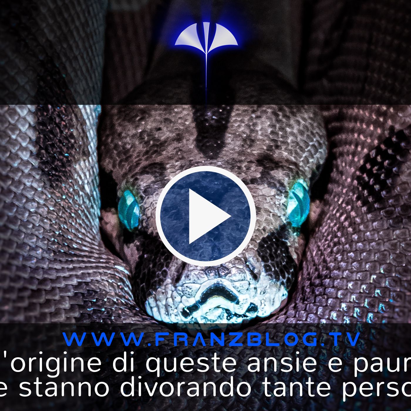 Franz\'s Blog
