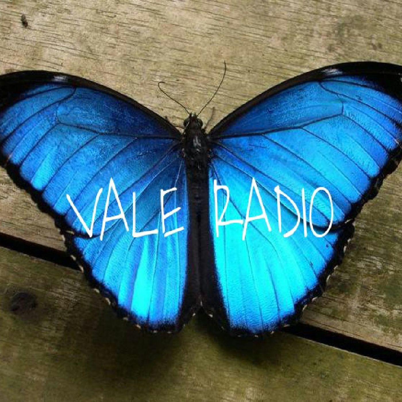 Vale Radio