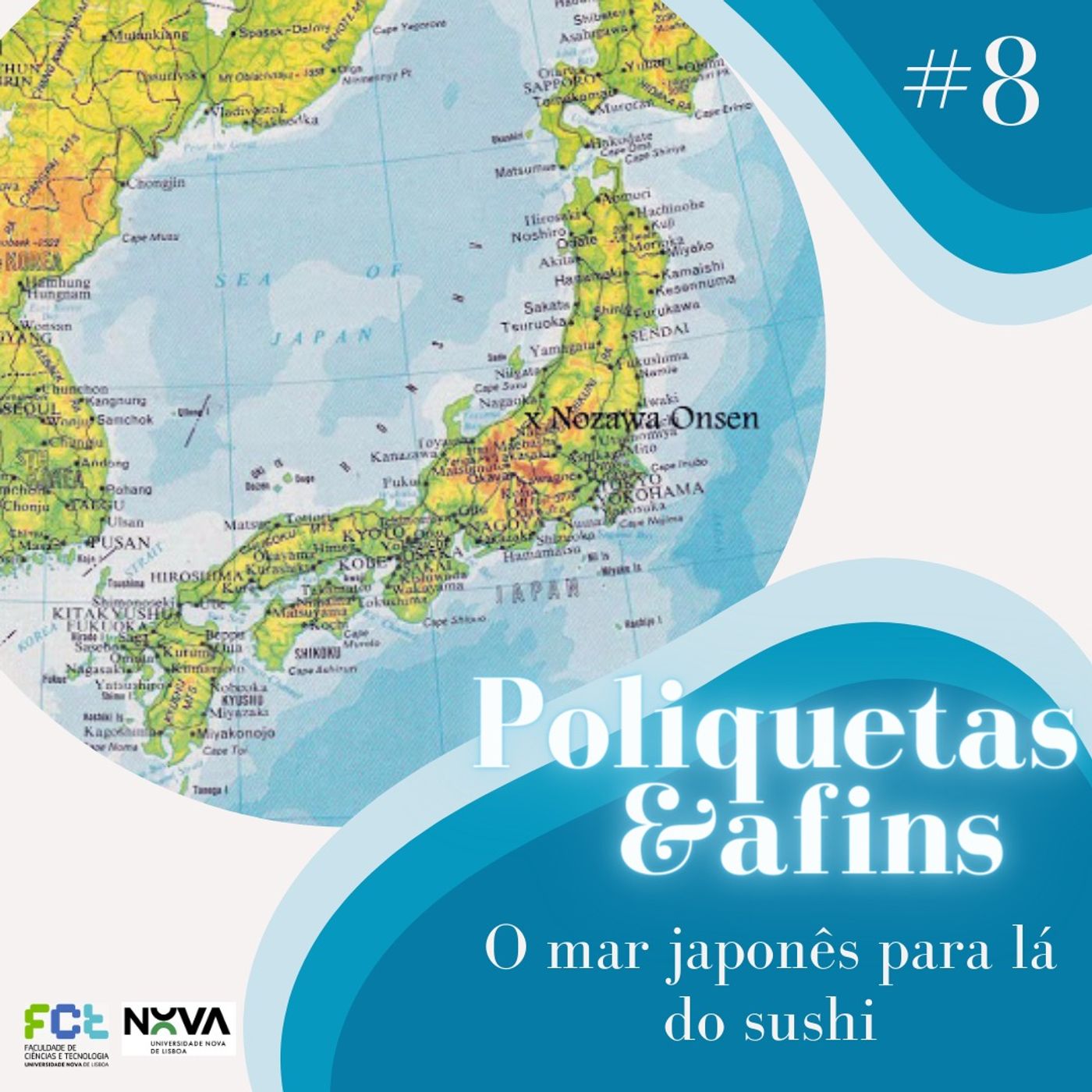 Poliquetas e afins