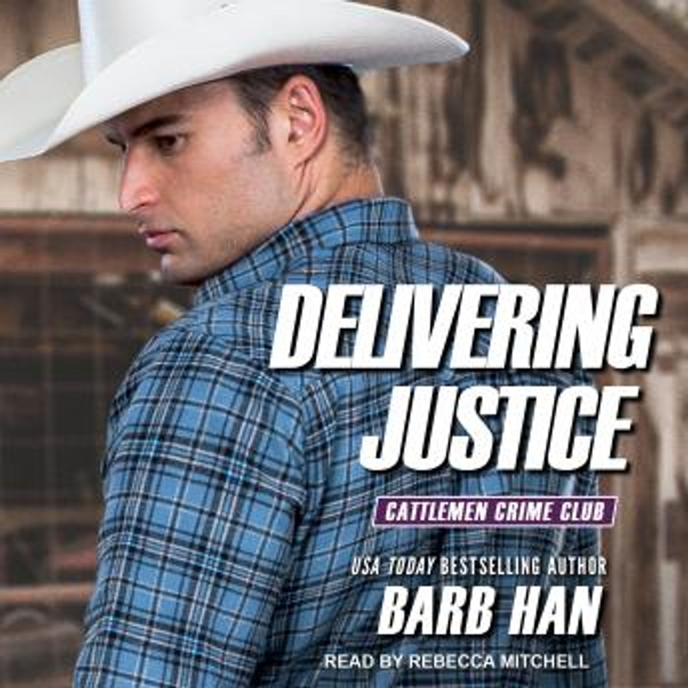 Delivering Justice by Barb Han episode artwork