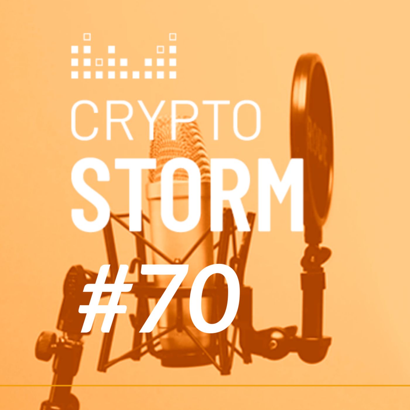 Crypto Storm