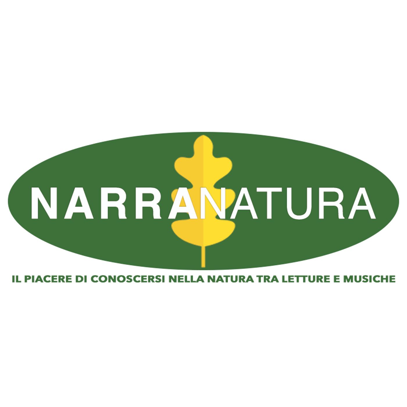 Narranatura cover art