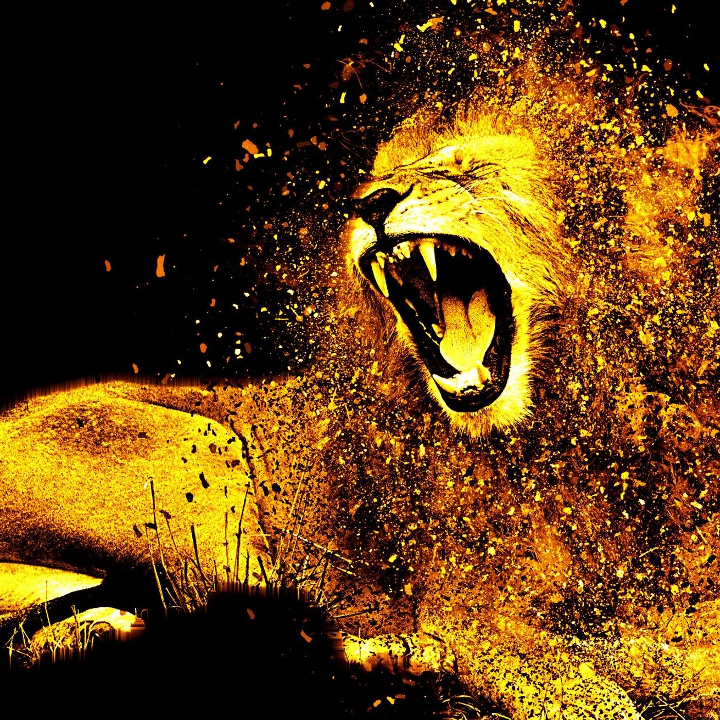 Mental et Actions d\'un investisseur en EQUITY avec Aurélien SCHNEIDER