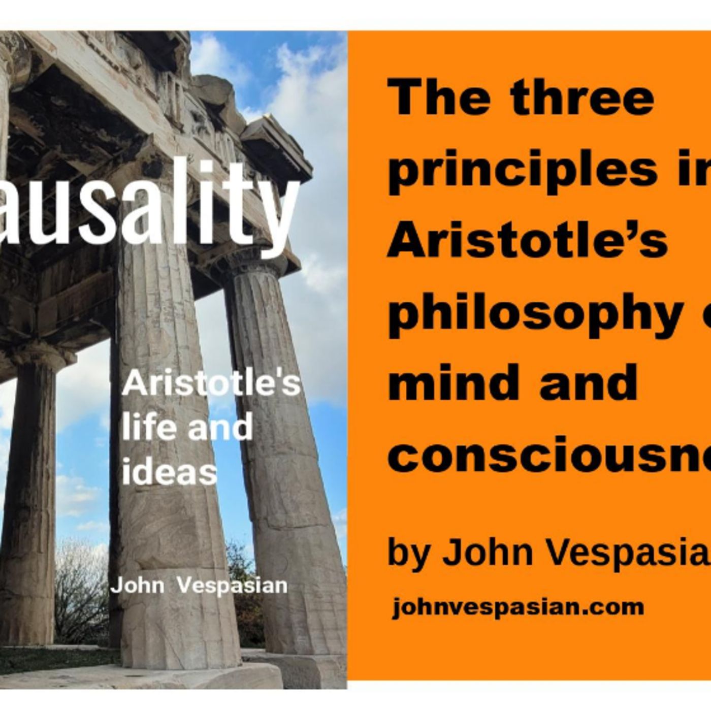The three principles in Aristotle’s philosophy of mind and consciousness episode artwork