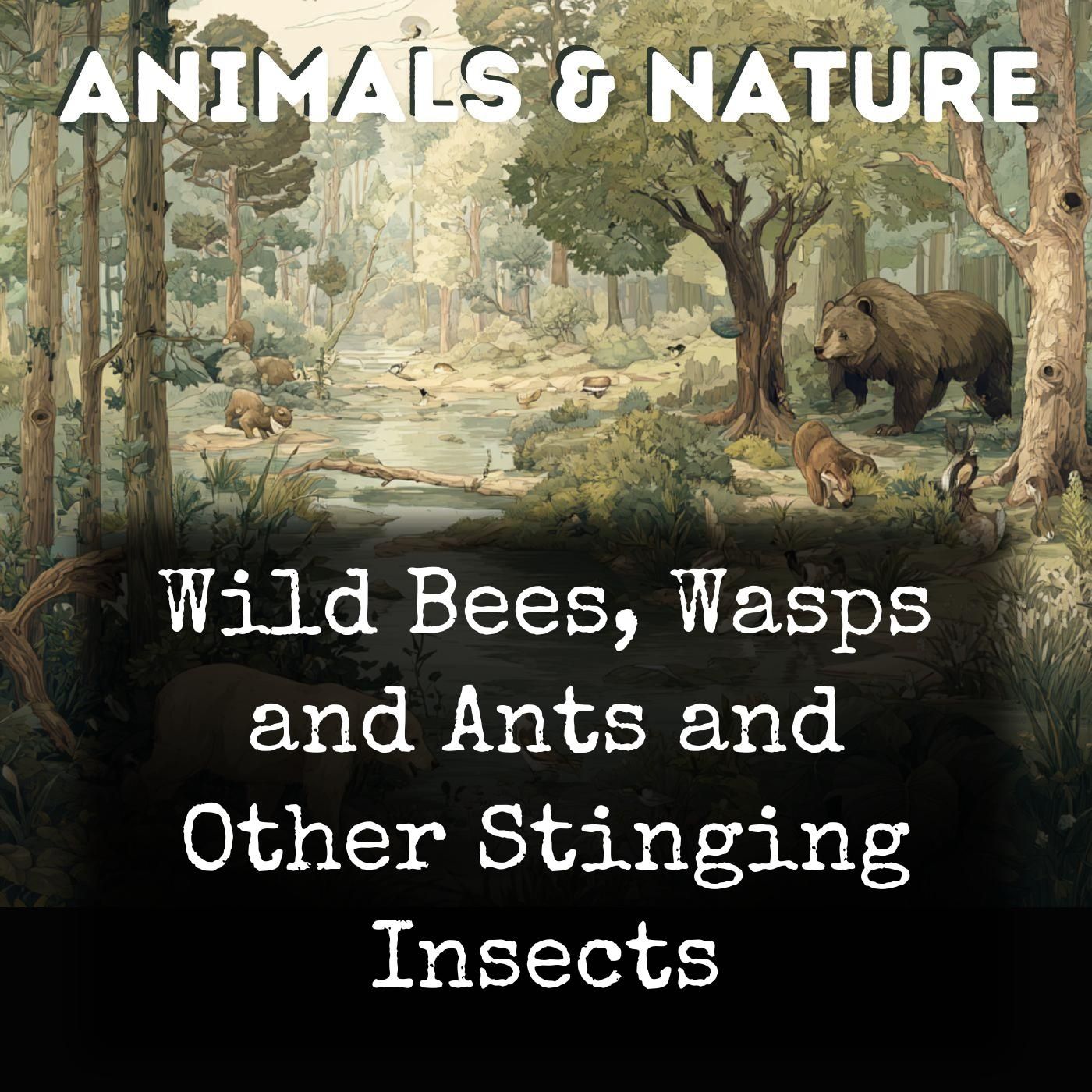 Wild Bees, Wasps and Ants and Other Stinging Insects cover art
