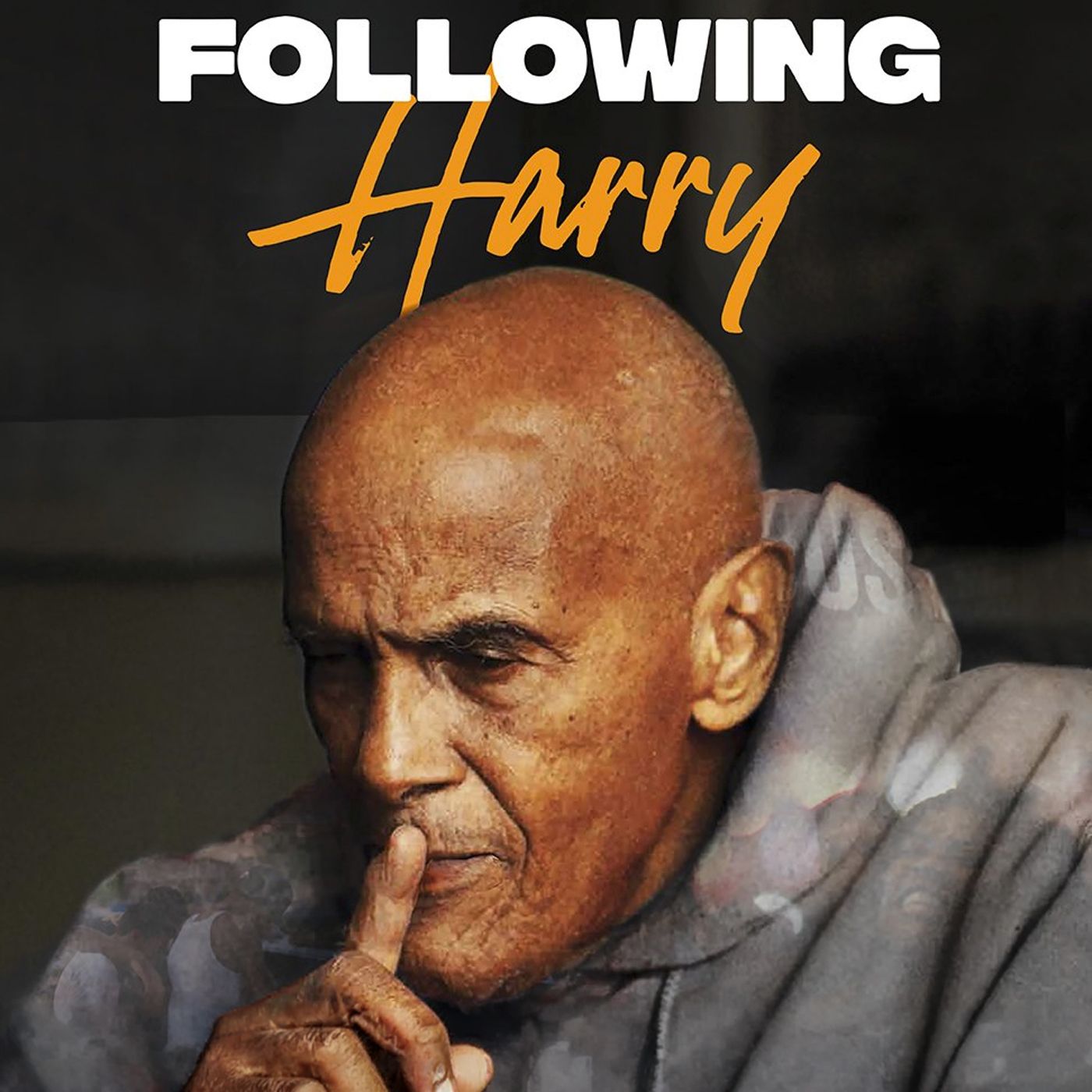 Special Report: Following Harry (2025)