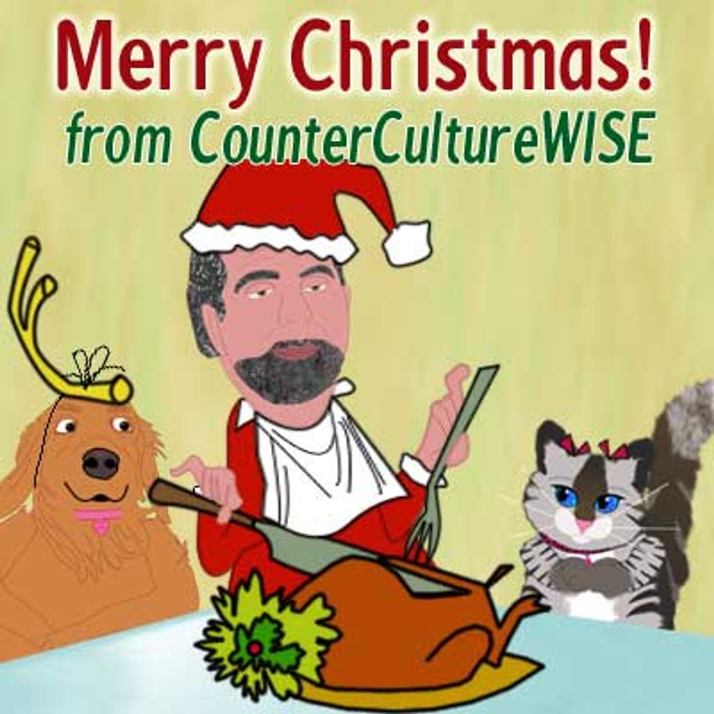 CounterCultureWISE