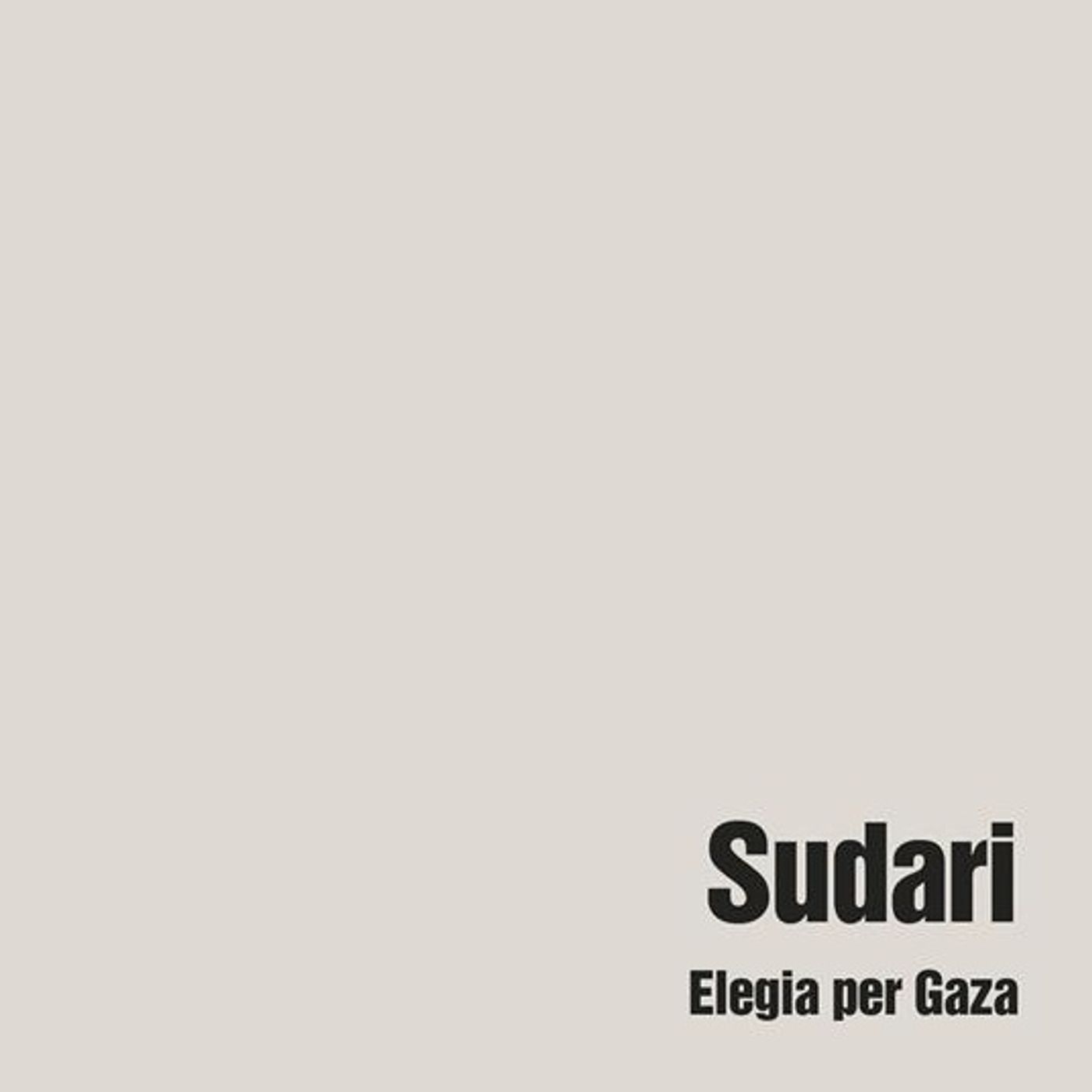 Stagione 12, puntata 8: "Sudari. Elegia per Gaza", di Paola Caridi