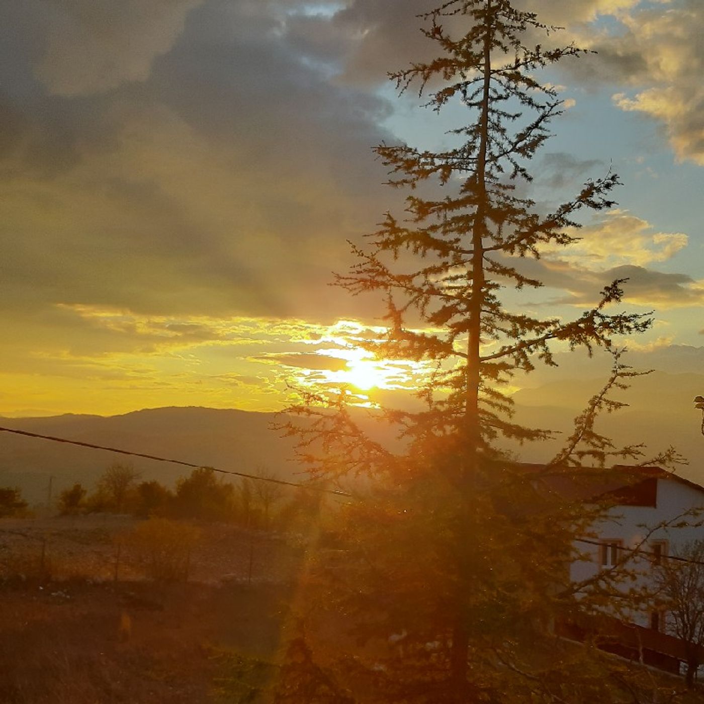 Şiir