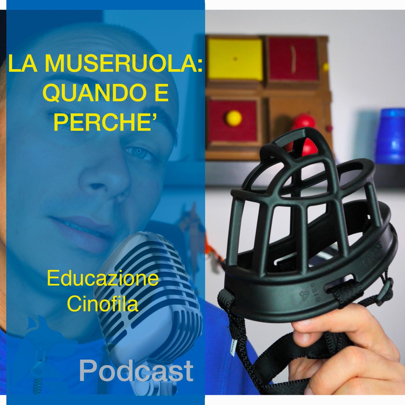 StiCani Educazione Cinofila