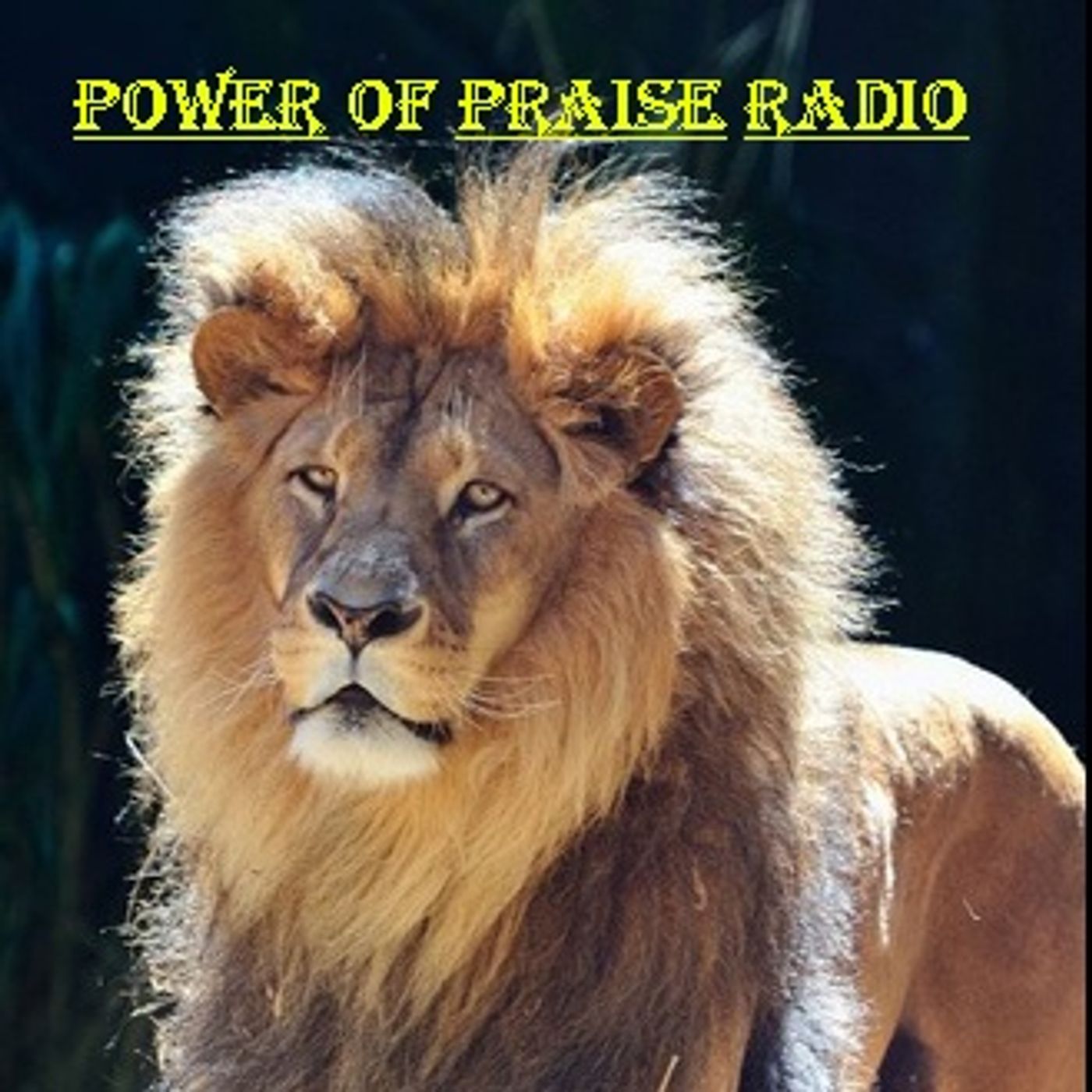 POWER OF PRAISE RADIO
