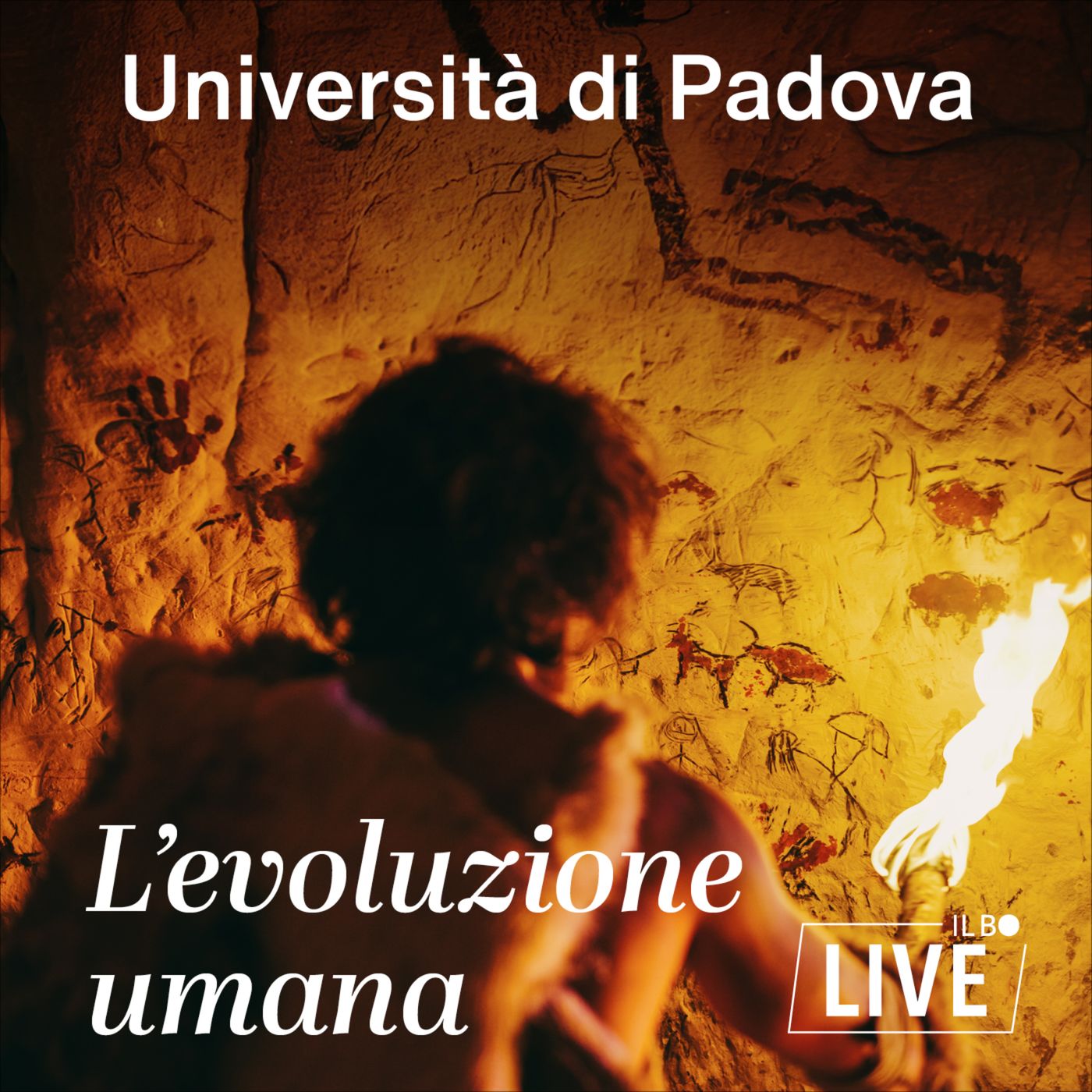 L'evoluzione umana raccontata da Telmo Pievani - Il Bo Live podcast artwork