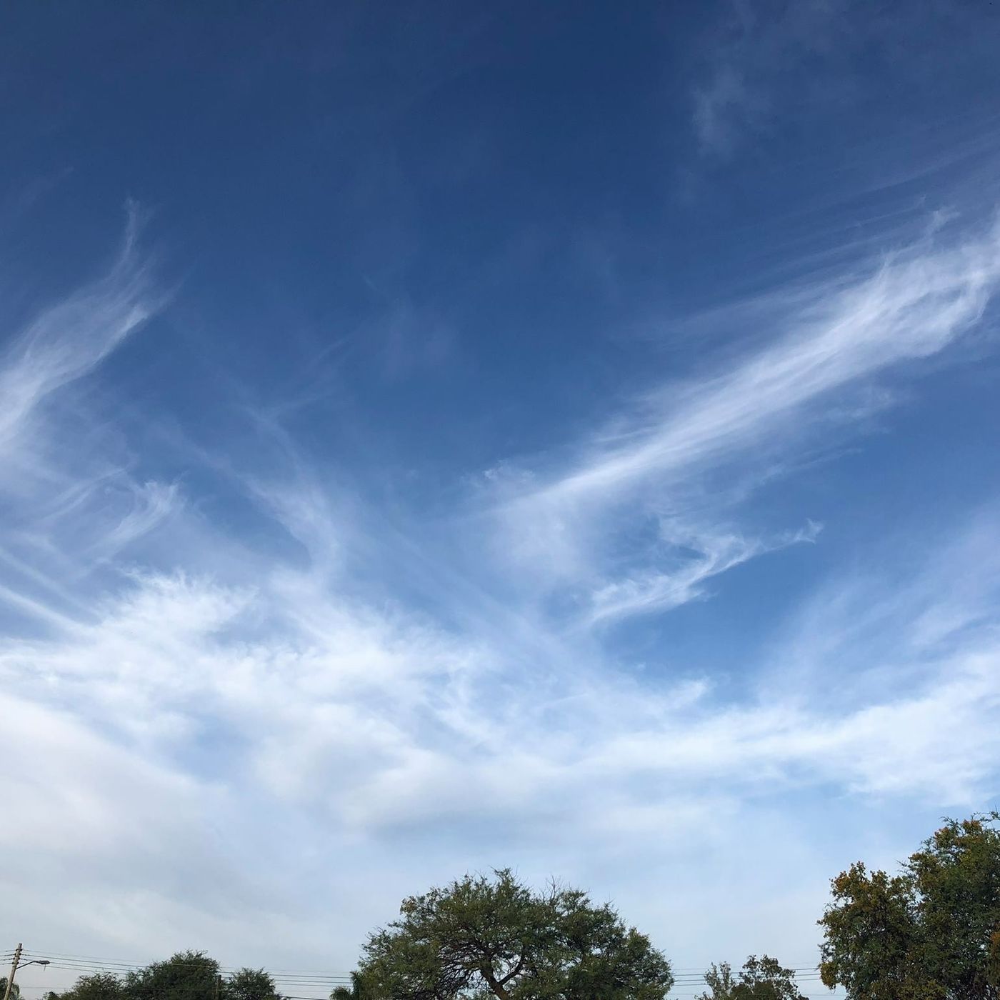 Programas de Radio Maria