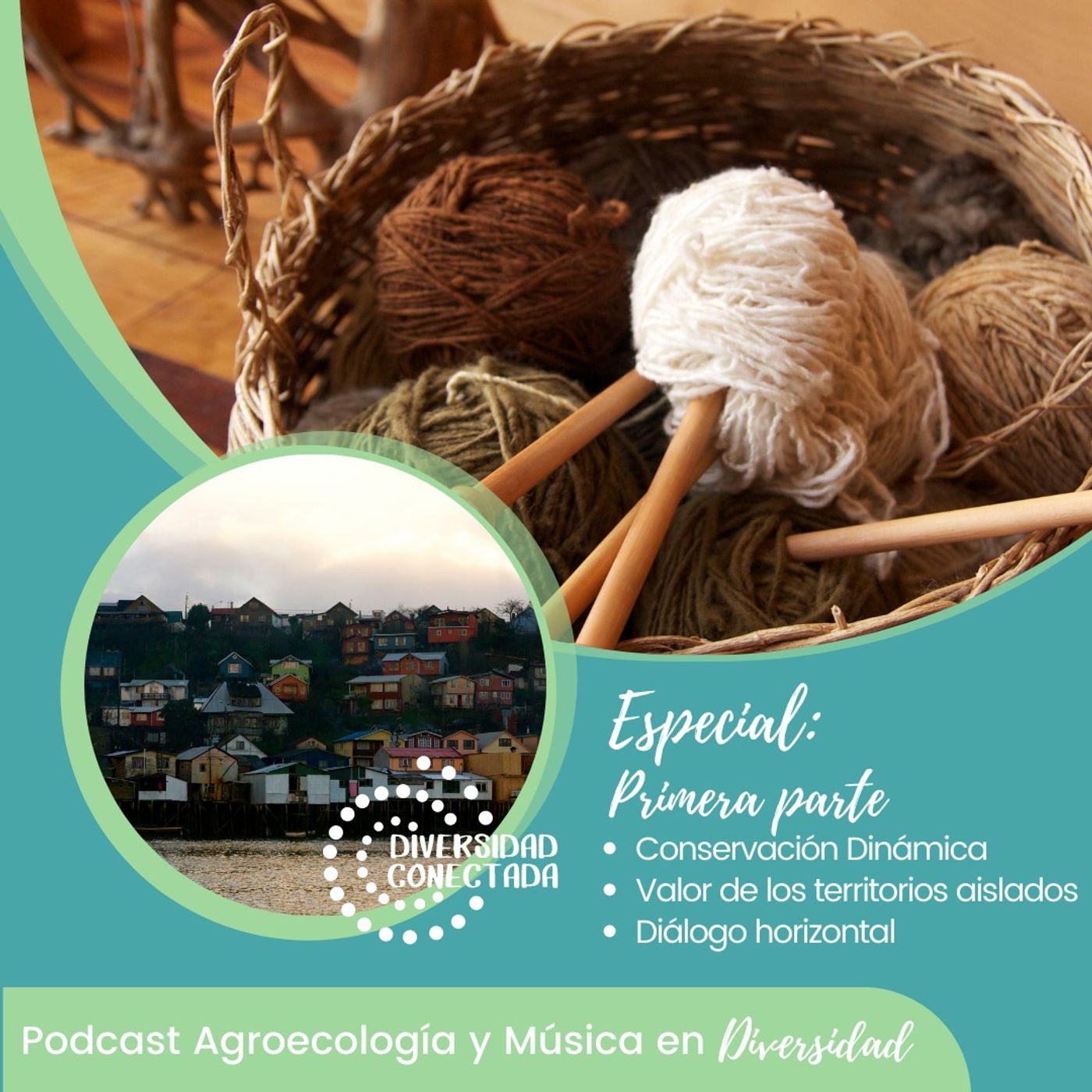 Diversidad Conectada