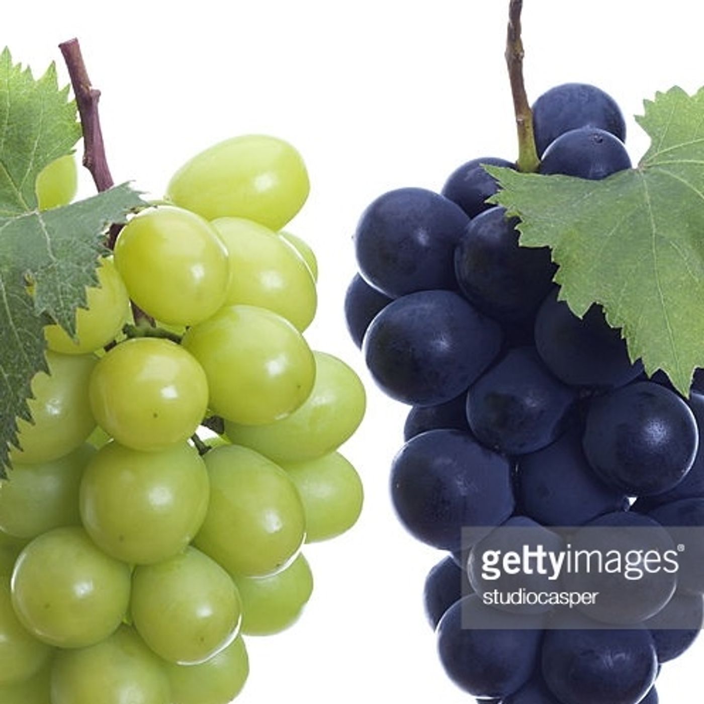 Ride the vine in an Uber!  POLL RESULTS Ride the vine in an Uber!  POLL RESULTS