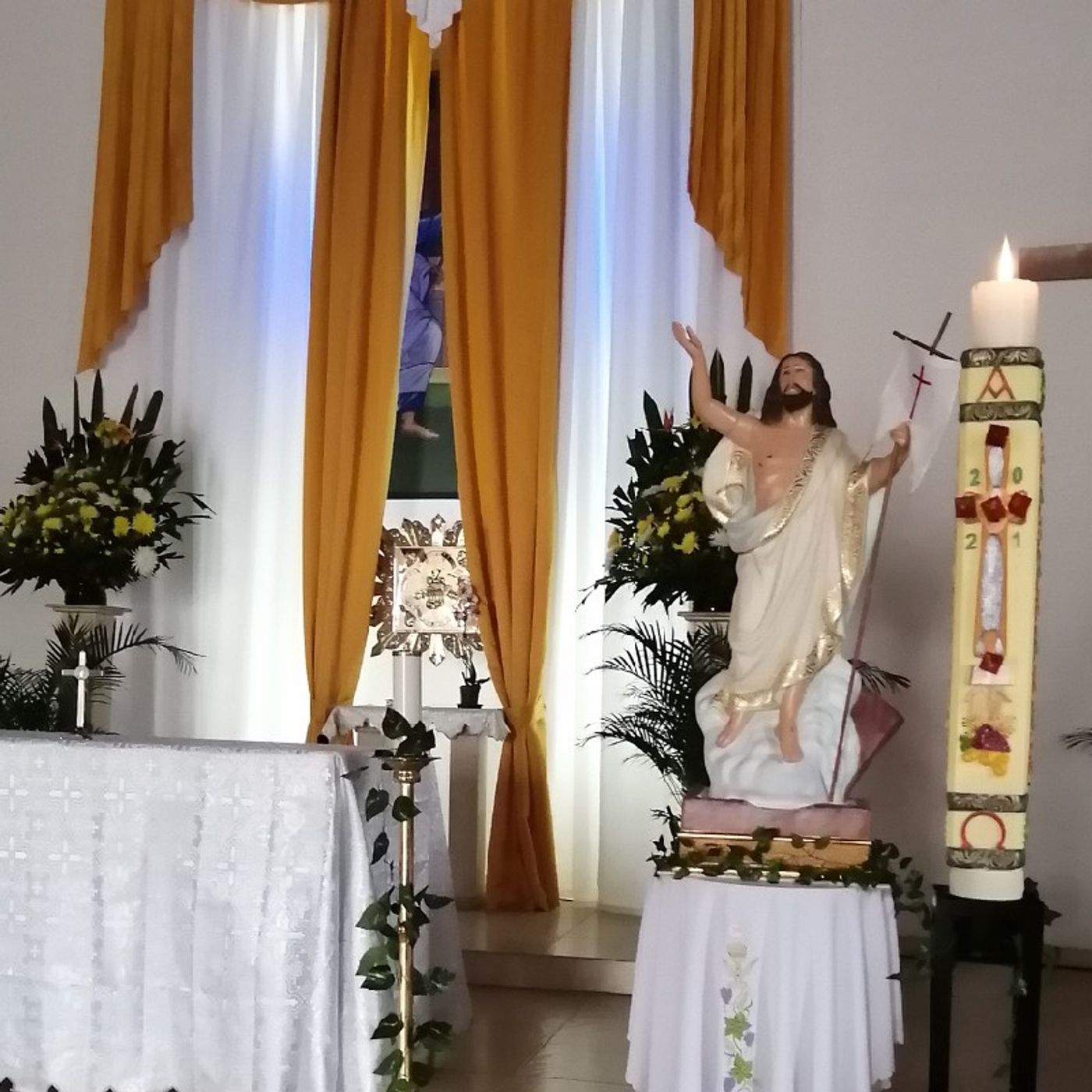 La Reflexión del Día "Corazón luminoso en Jesús Resucitado " episode artwork