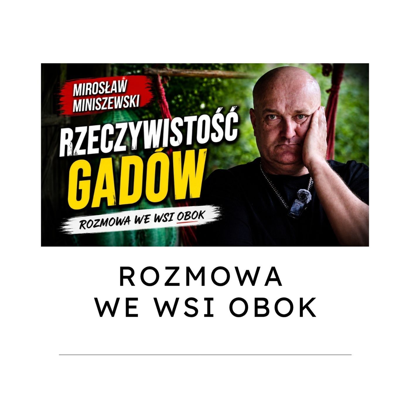 Mirosław Miniszewski: Rzeź wołyńska jest tylko pretekstem do nienawiści. Rzeczywistość gadów episode artwork