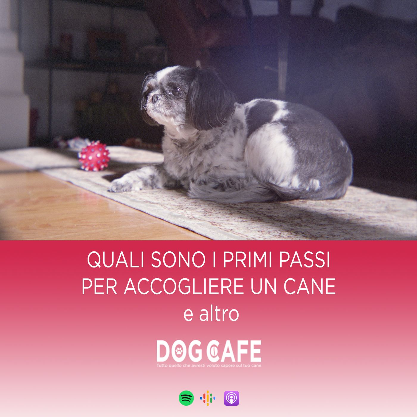 Dog Cafe Podcast