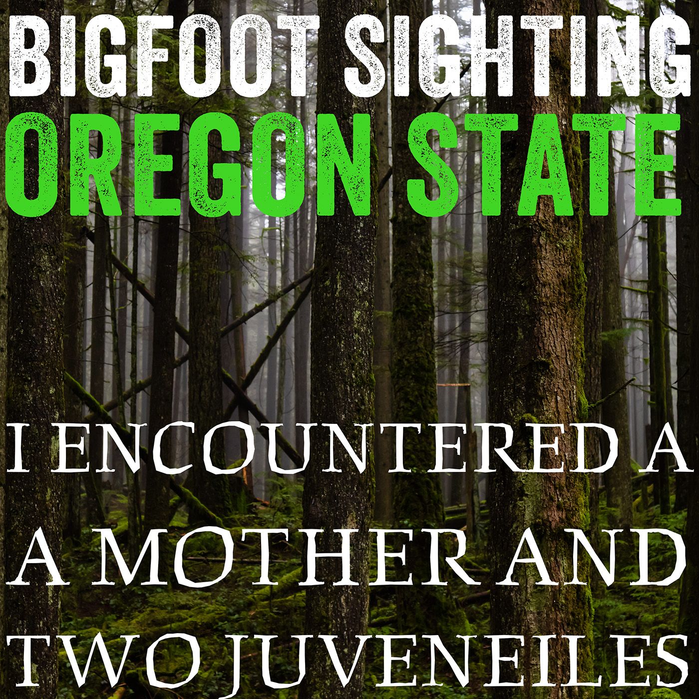 BIGFOOT SIGHTING IN OREGON STATE | I ENCOUNTERED A MOTHER AND TWO JUVENILES (SHE SHOWED HER TEETH!)