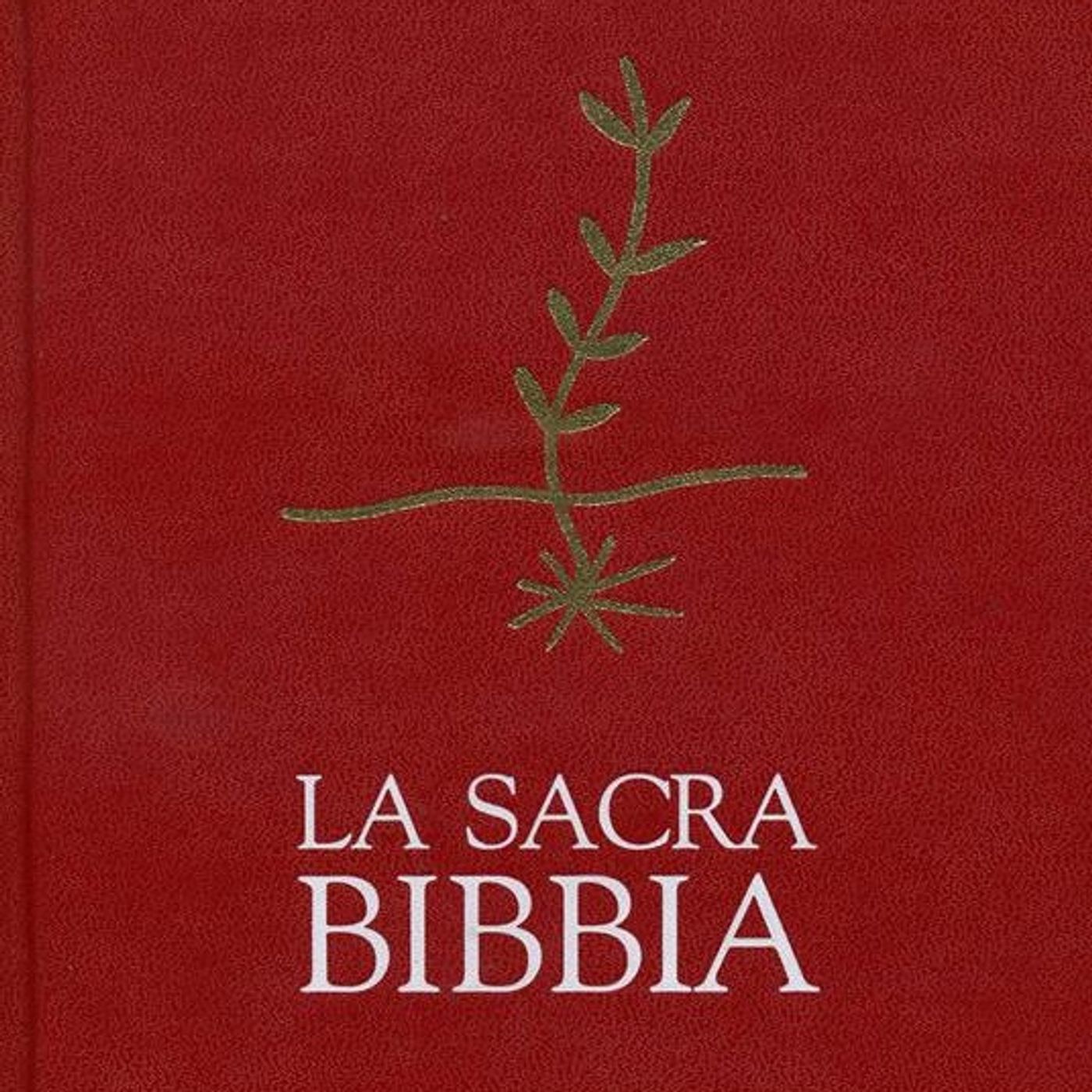 La Sacra Bibbia (The Holy Bible) podcast artwork
