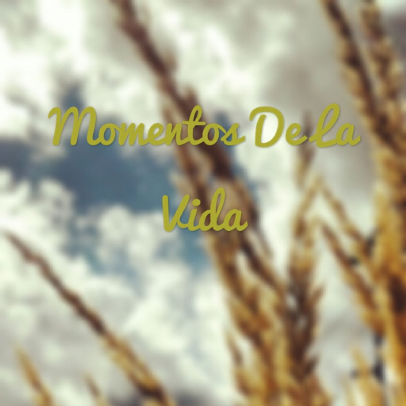 Momentos De La Vida