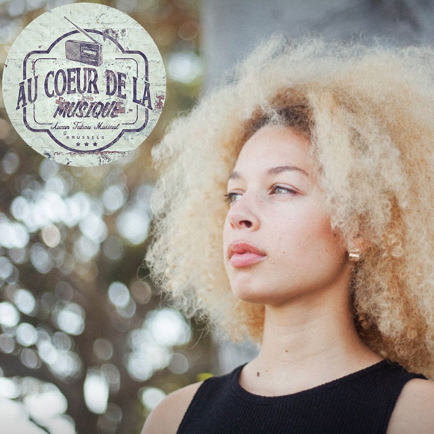 Au Coeur de la Musique