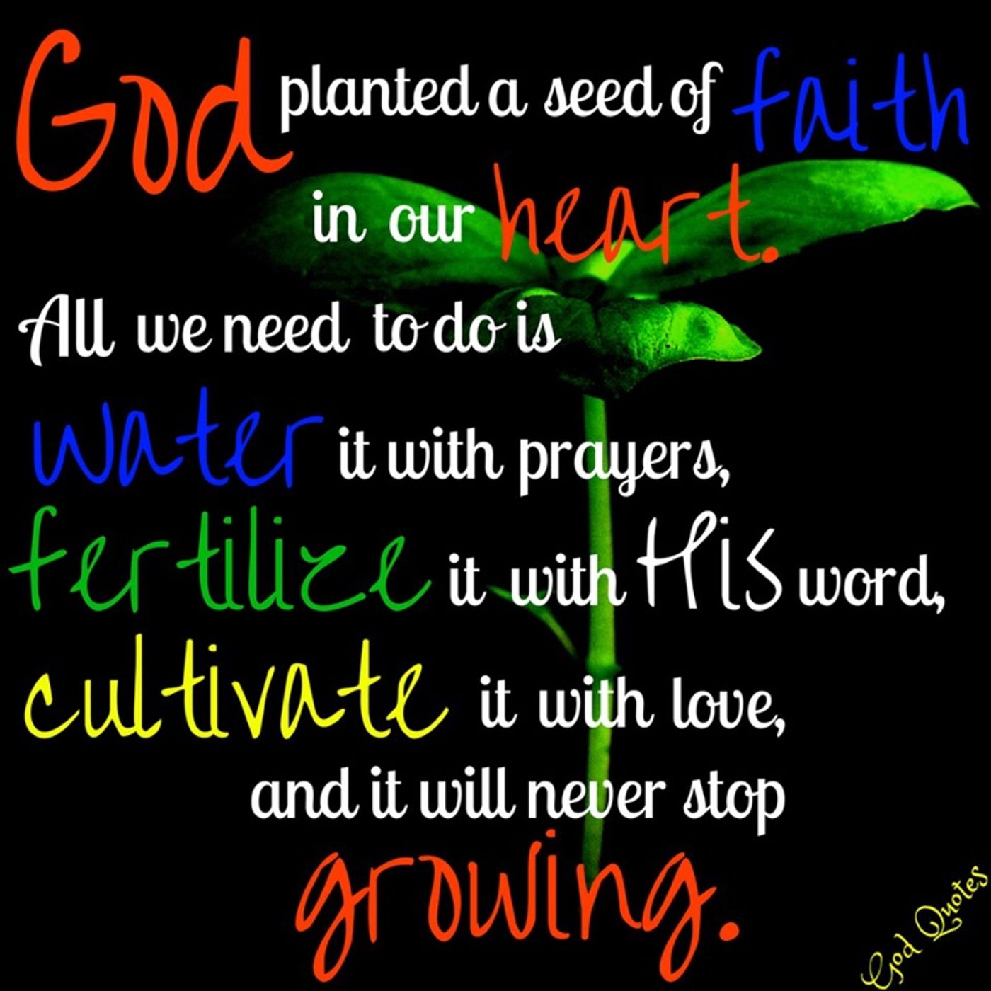 Fun Time With Sheen Rebitz