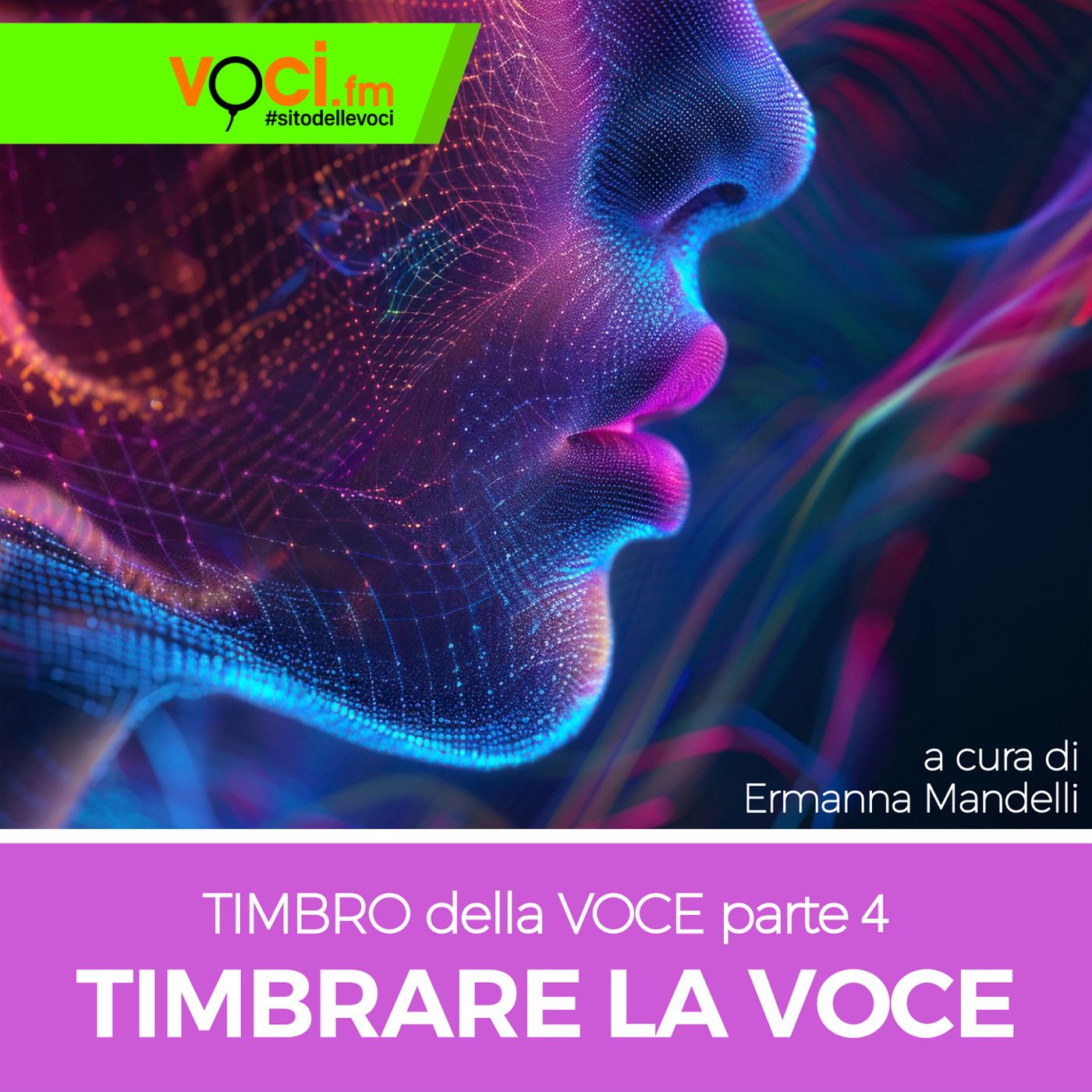 Clicca PLAY e ascolta "IL TIMBRO: PARTE 4" episode artwork