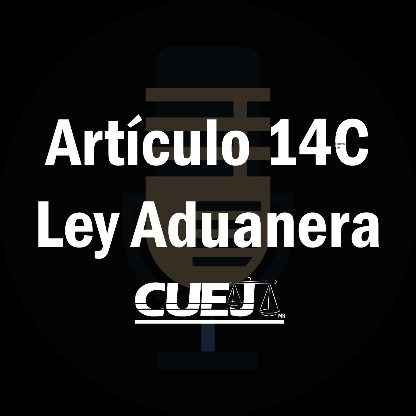 Audio Ley Aduanera