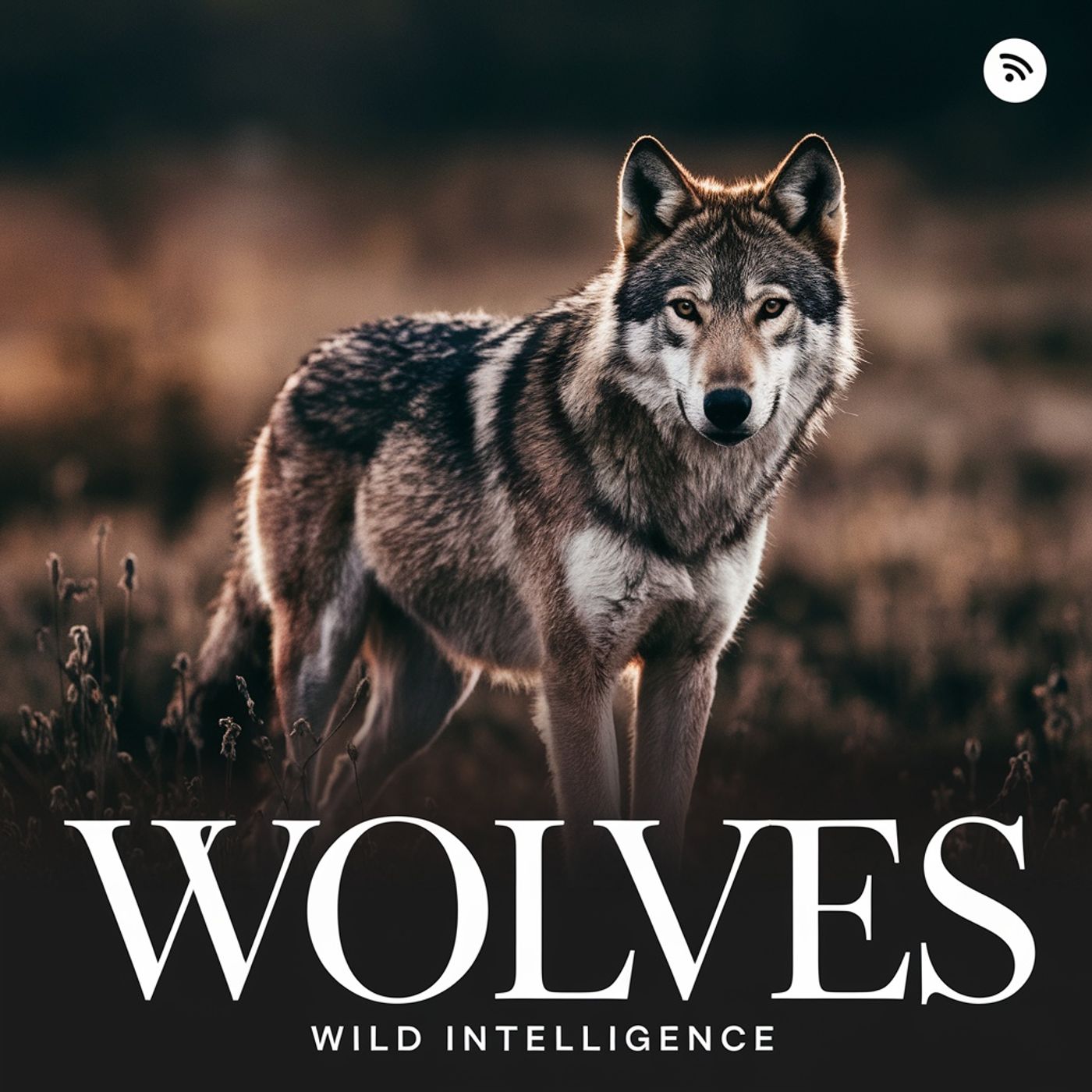 Wolves cover